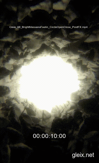 Gleix_VisualArt_CircuitBending_GlitchArt_Chiptune (1).gif