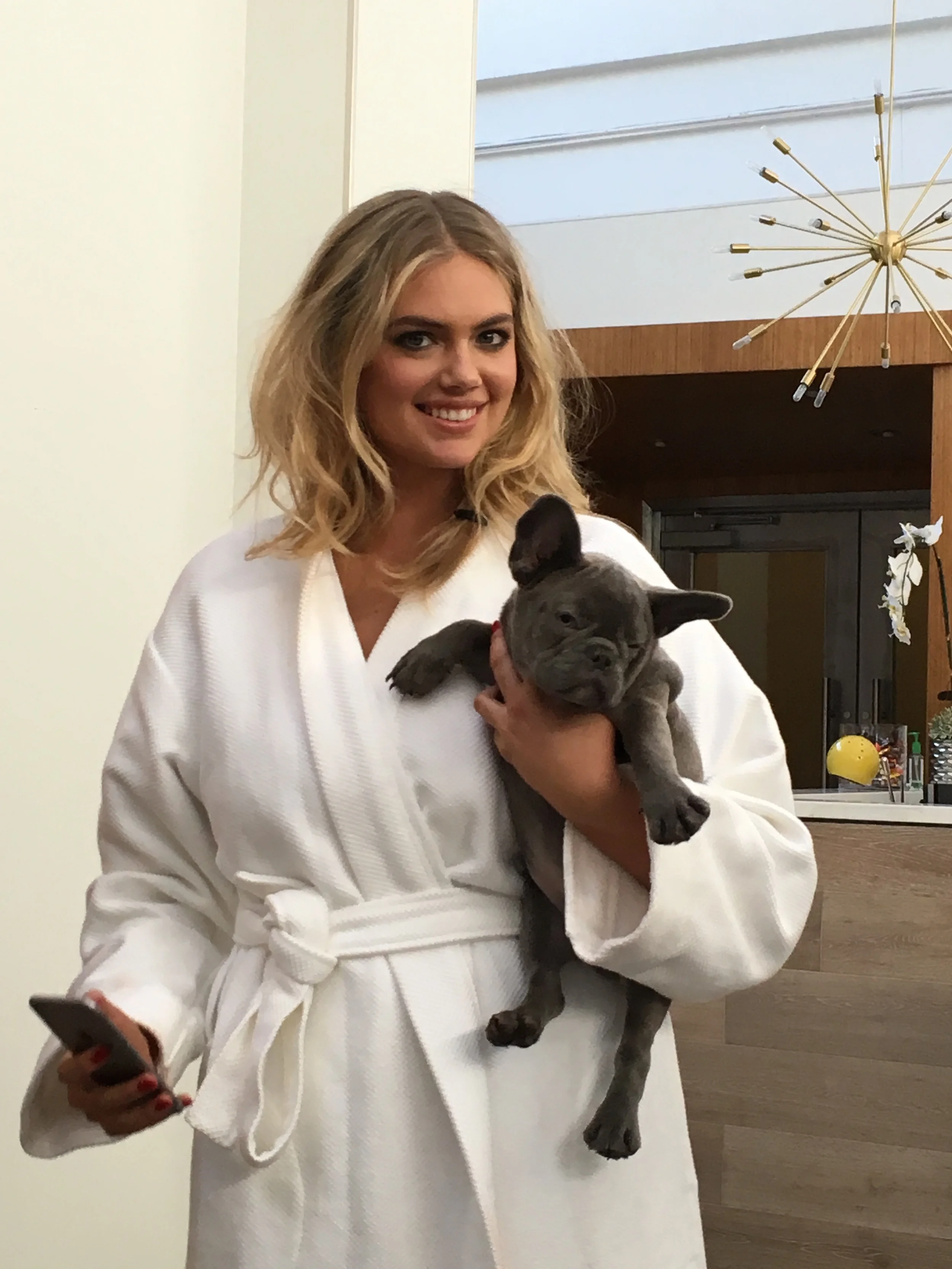 Famous Bullies — San Diego Bullies