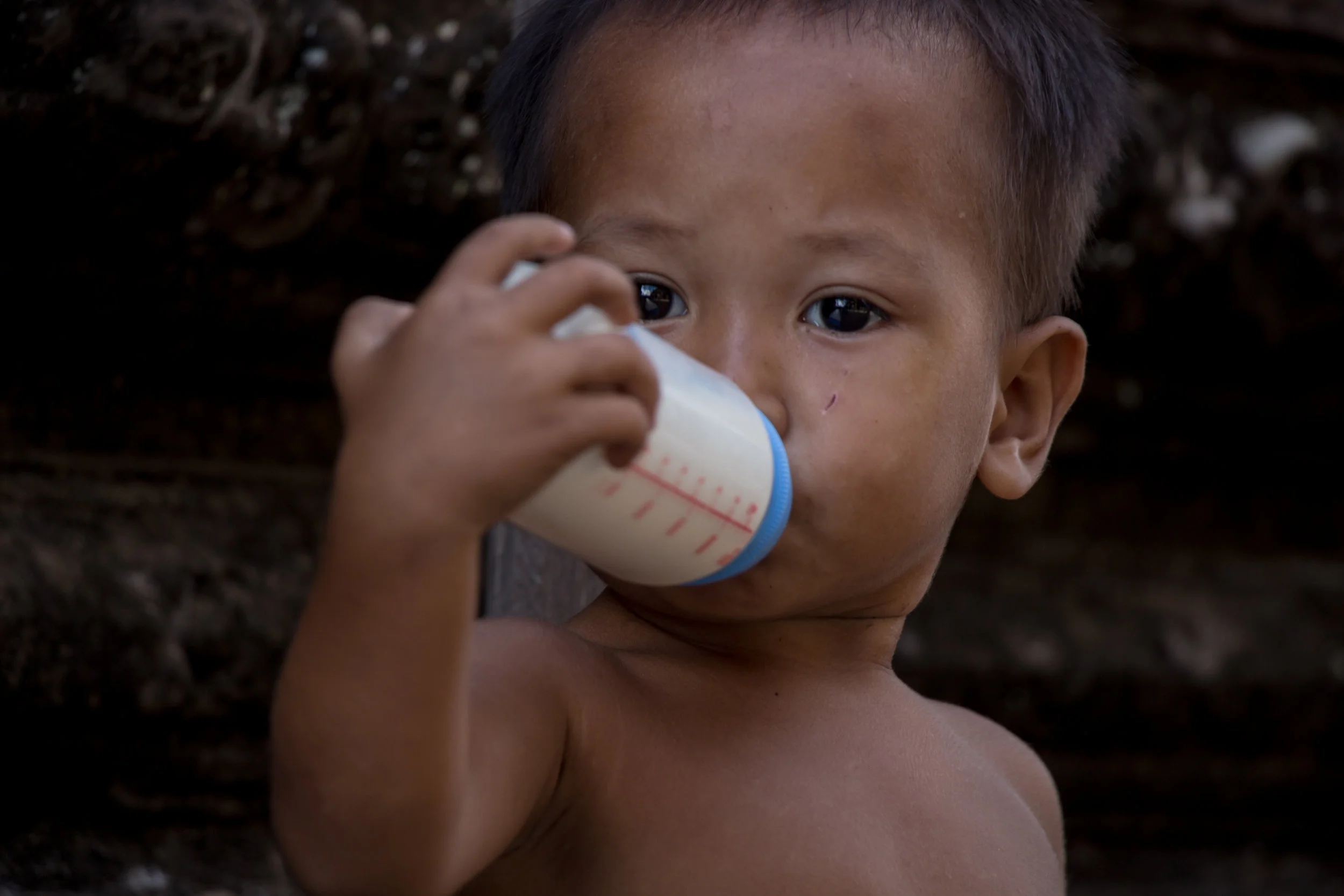 Cambodia, 2017