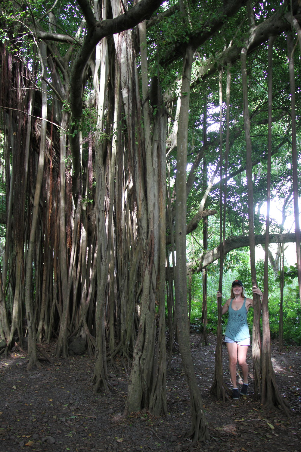  Road to Hana- Haleakala National Park 