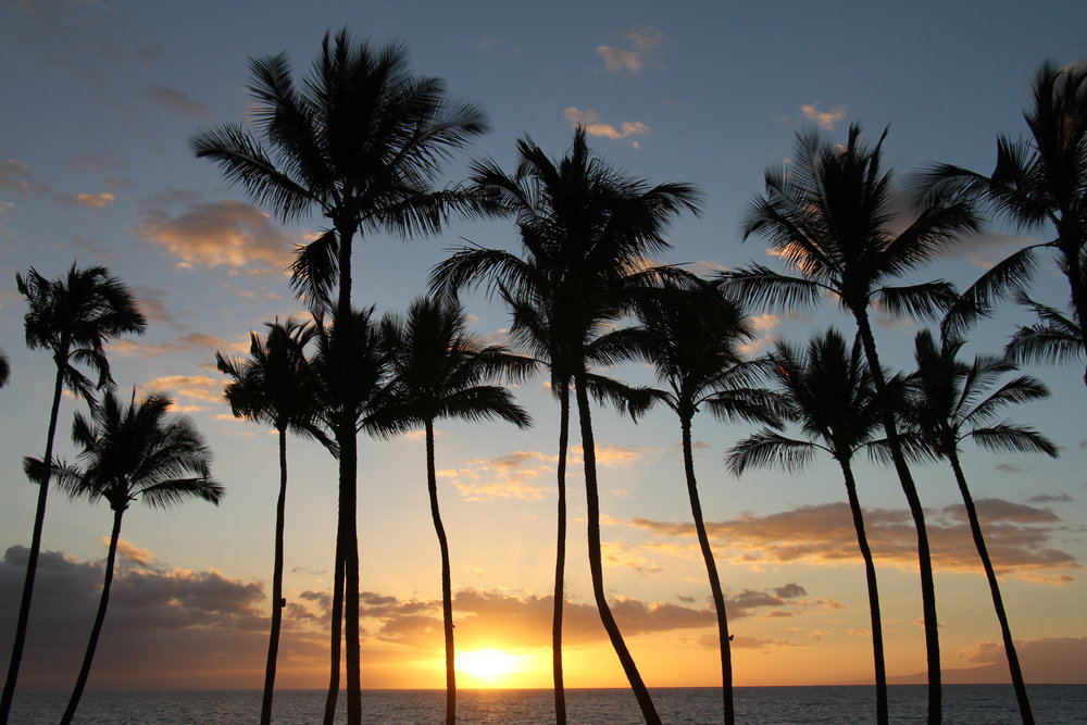  Maui Sunset 