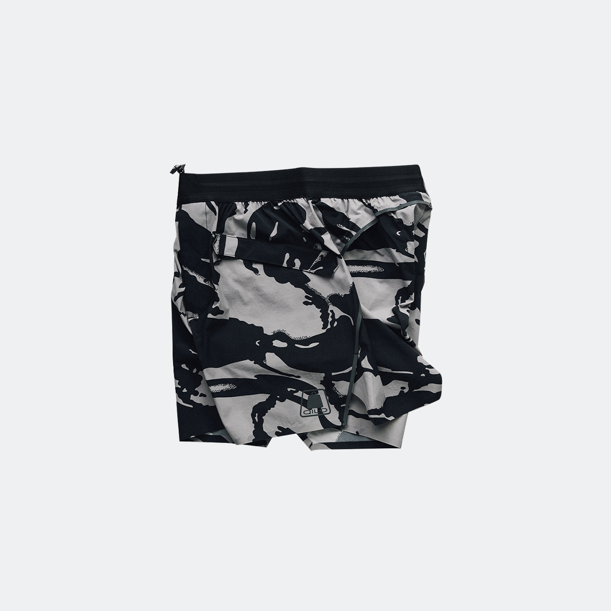 servalDPM_2 (1).png