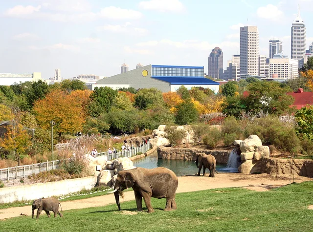 indianapolis zoo.jpg