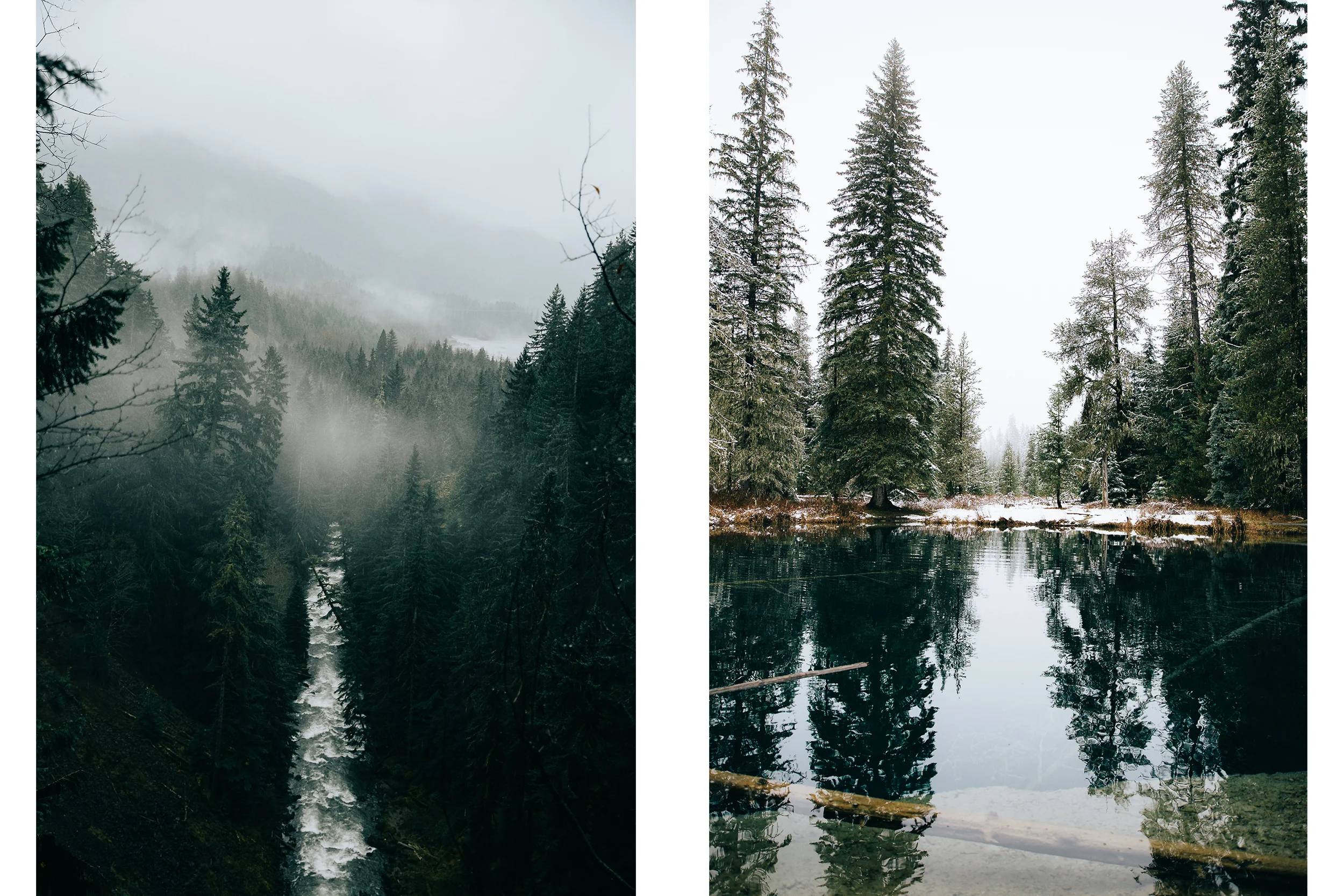 ForrestSmithPNWWeb5.jpg