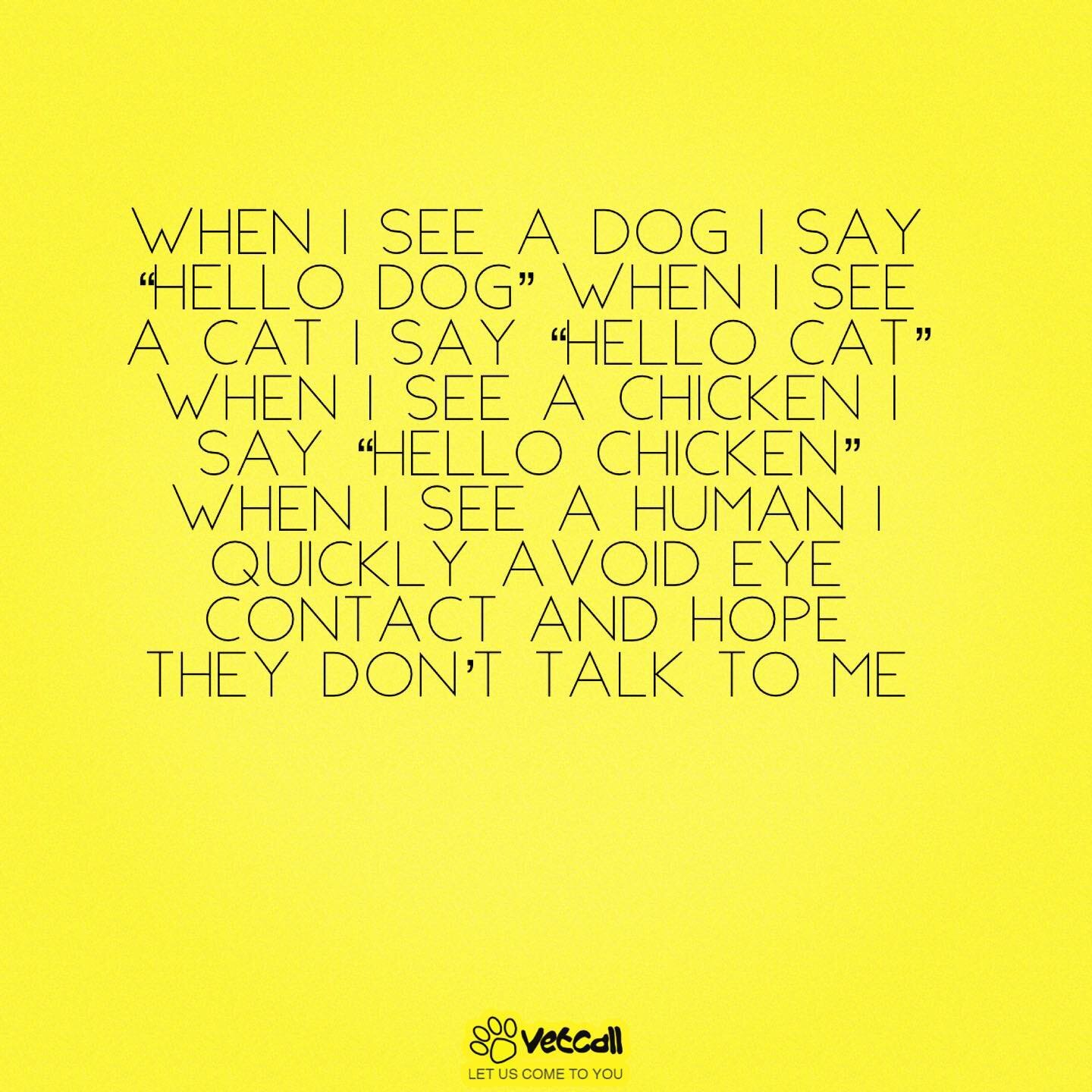 😆 anyone else talk to all the animal&rsquo;s? 🐶🐱🐔🐰
