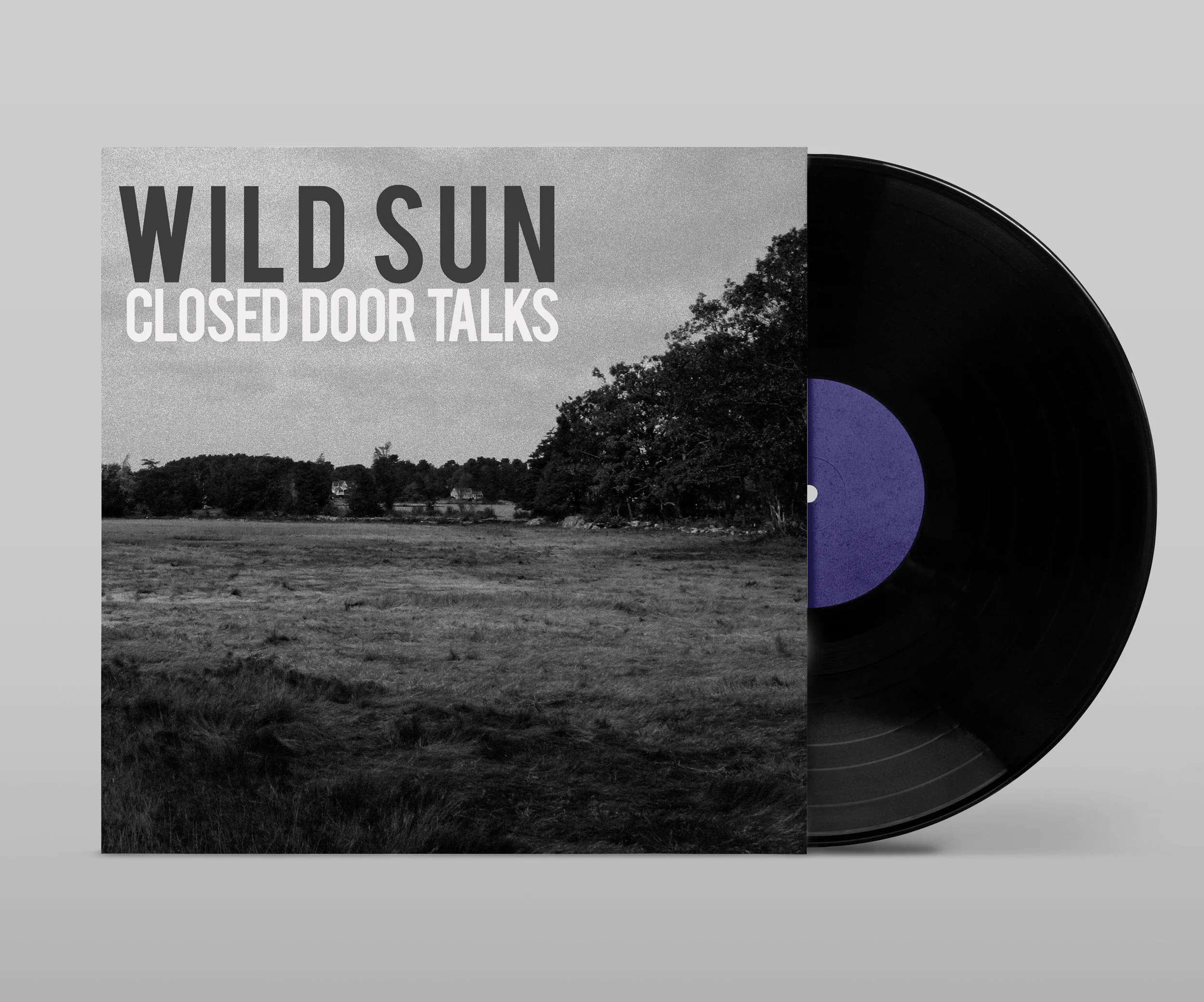 Vinyl Cover Mockup.jpg