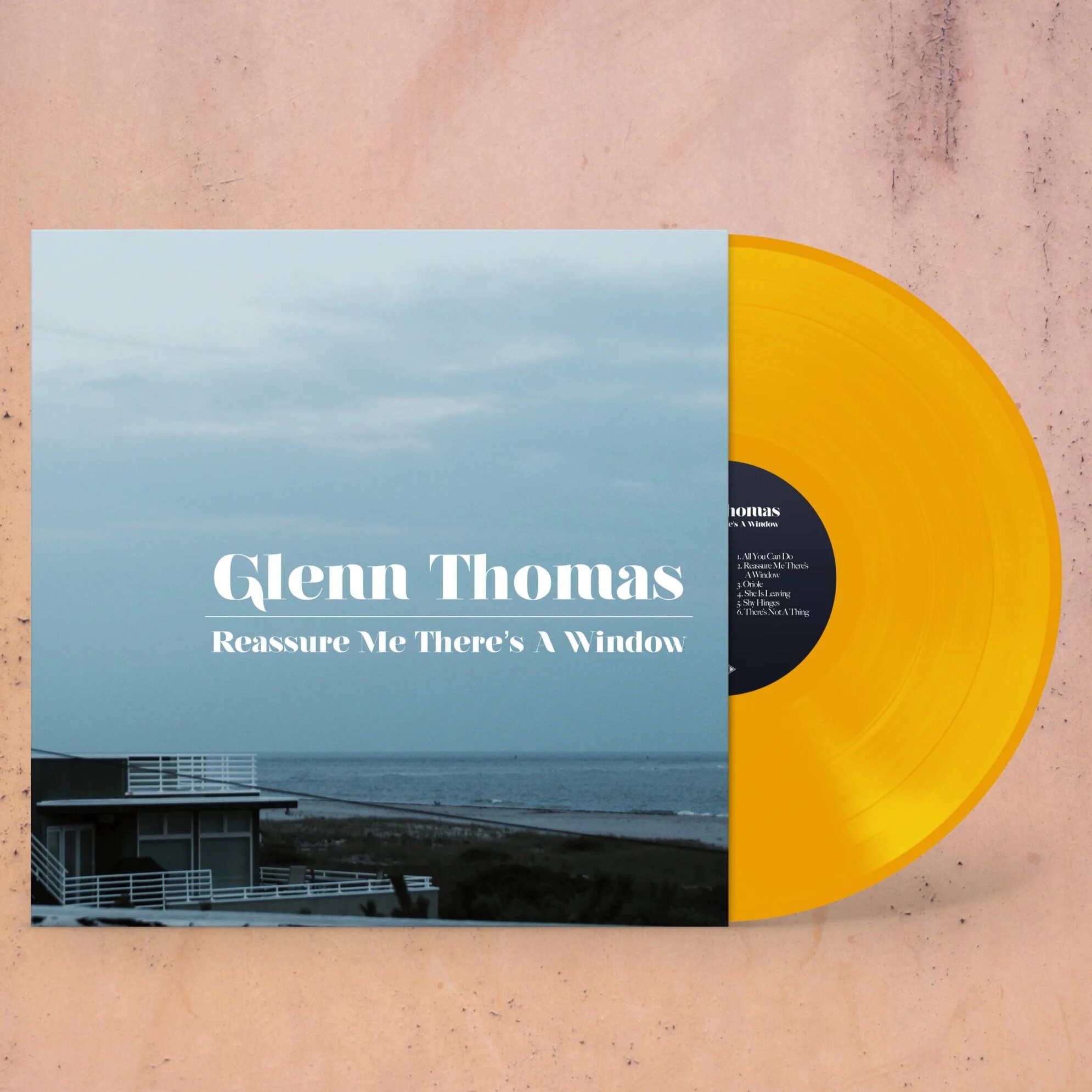 GT.vinylpresaleMOCKUP.jpg