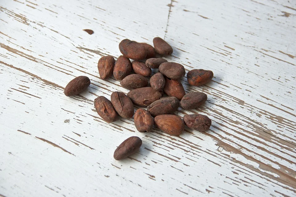 Cacao beans. Image Credit
