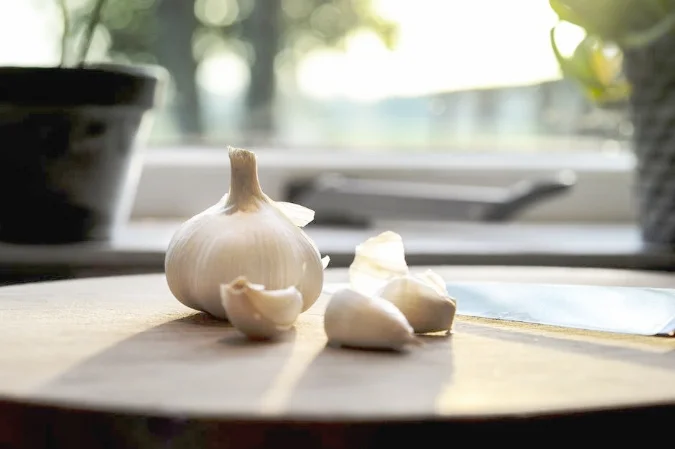 Garlic.jpeg