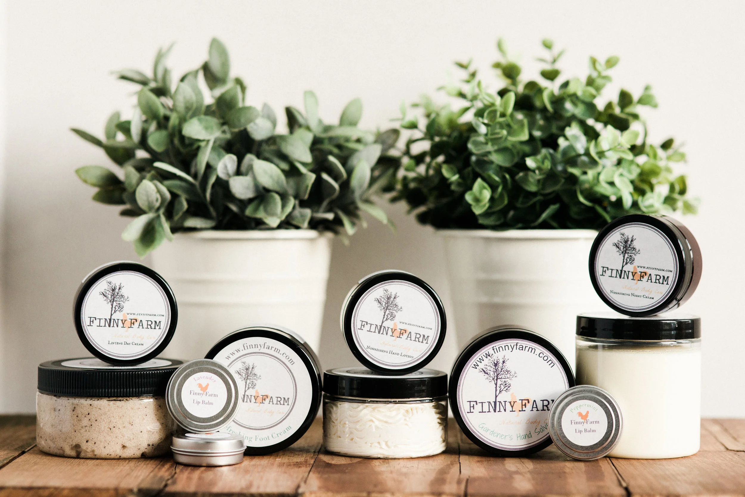 Body Care Group.jpg