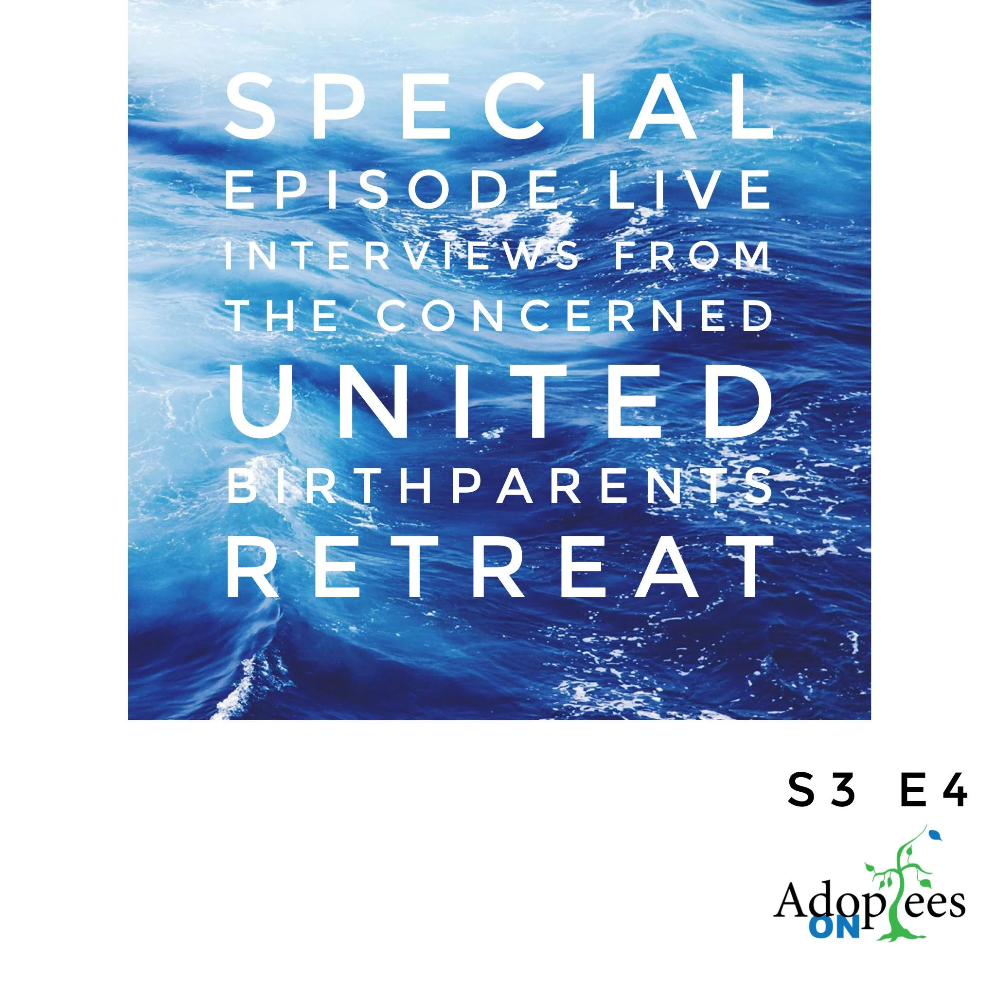 43 [Special] [S3 E4] Live Recordings from the Concerned United Birthparents Retreat