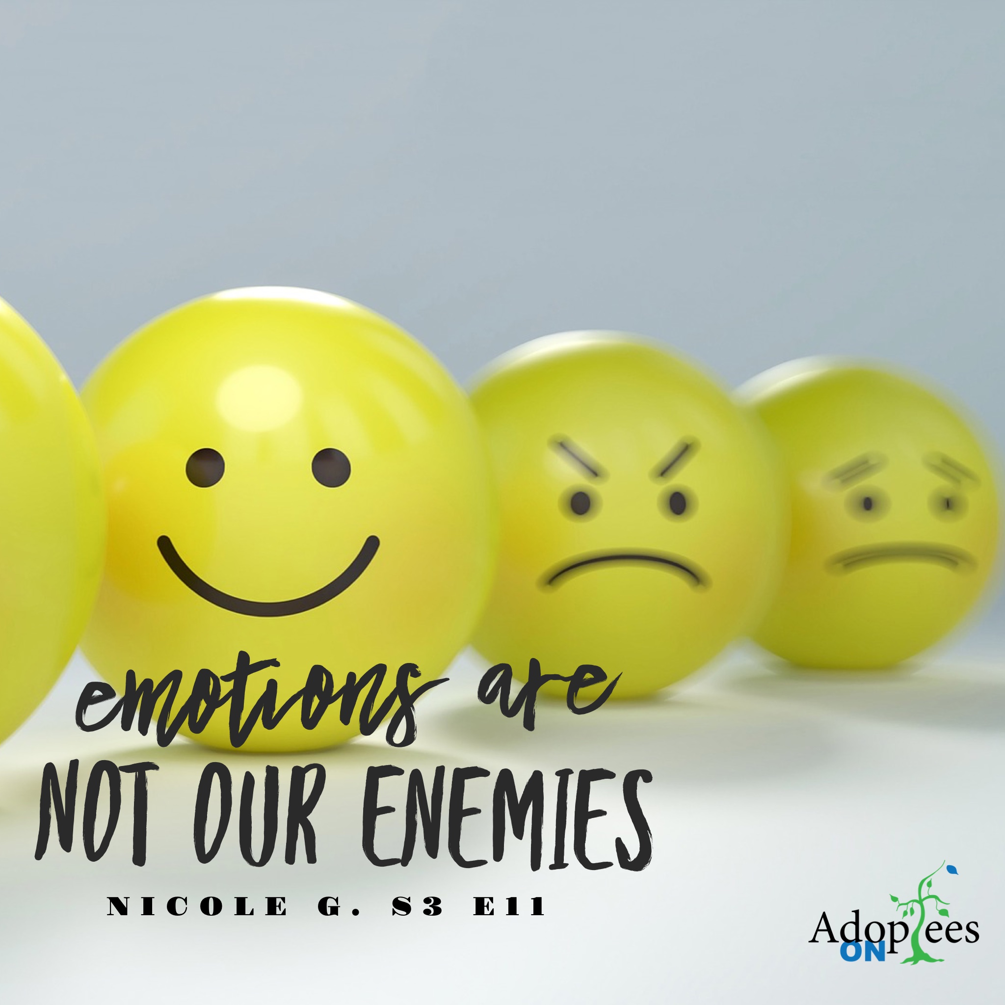 51 [S3 E11] Nicole G. - Emotions Are Not Our Enemies