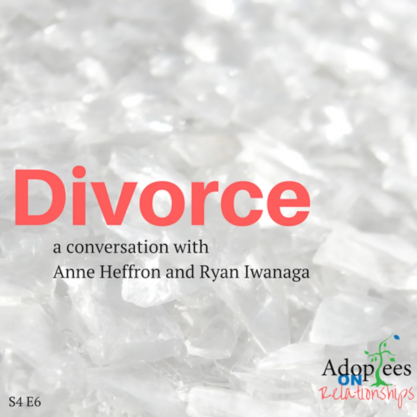 66 [S4 E6] Ryan and Anne - Divorce