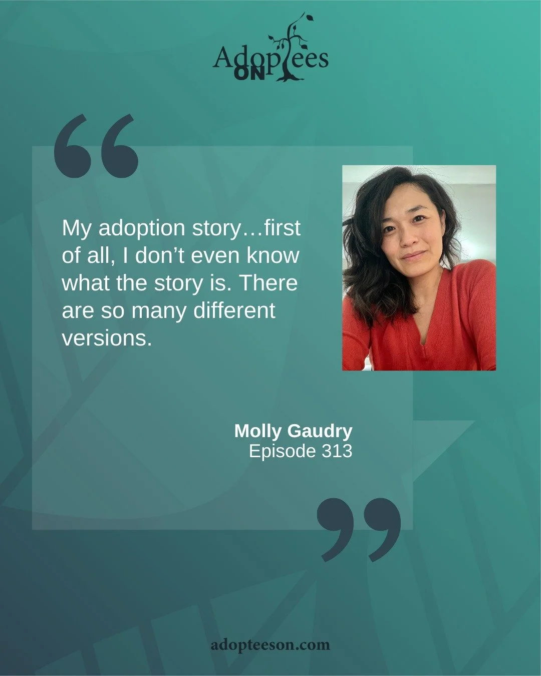 Today&rsquo;s guest is Molly Gaudry, author of Fit Into Me: A Novel A Memoir. This interview is one of the first ever Molly has given surrounding her adoptee identity. Relatable to anyone who has contradictory or missing narratives in their origin st