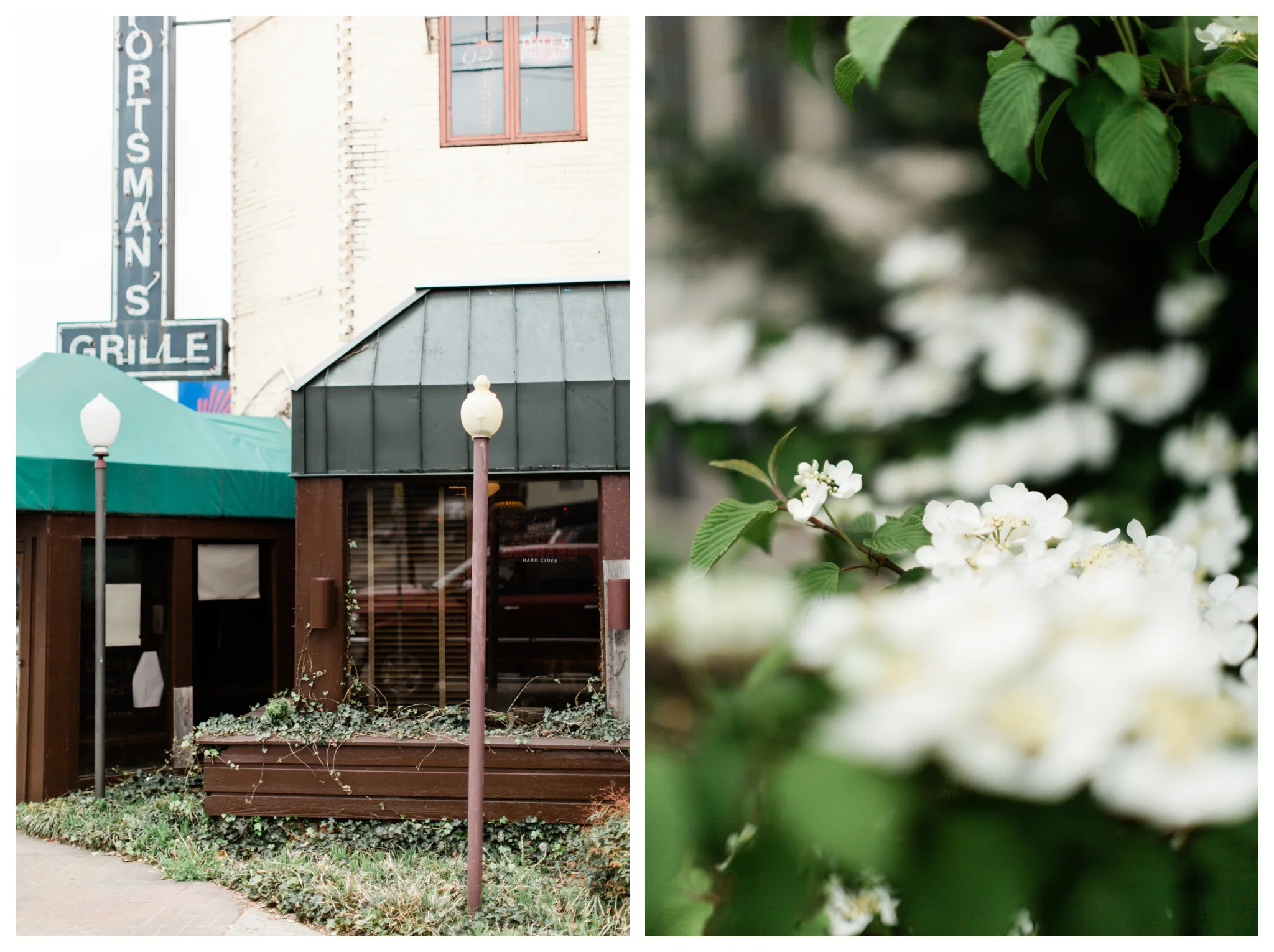 Allyography_Downtown_NashvilleTennessee-20.jpg