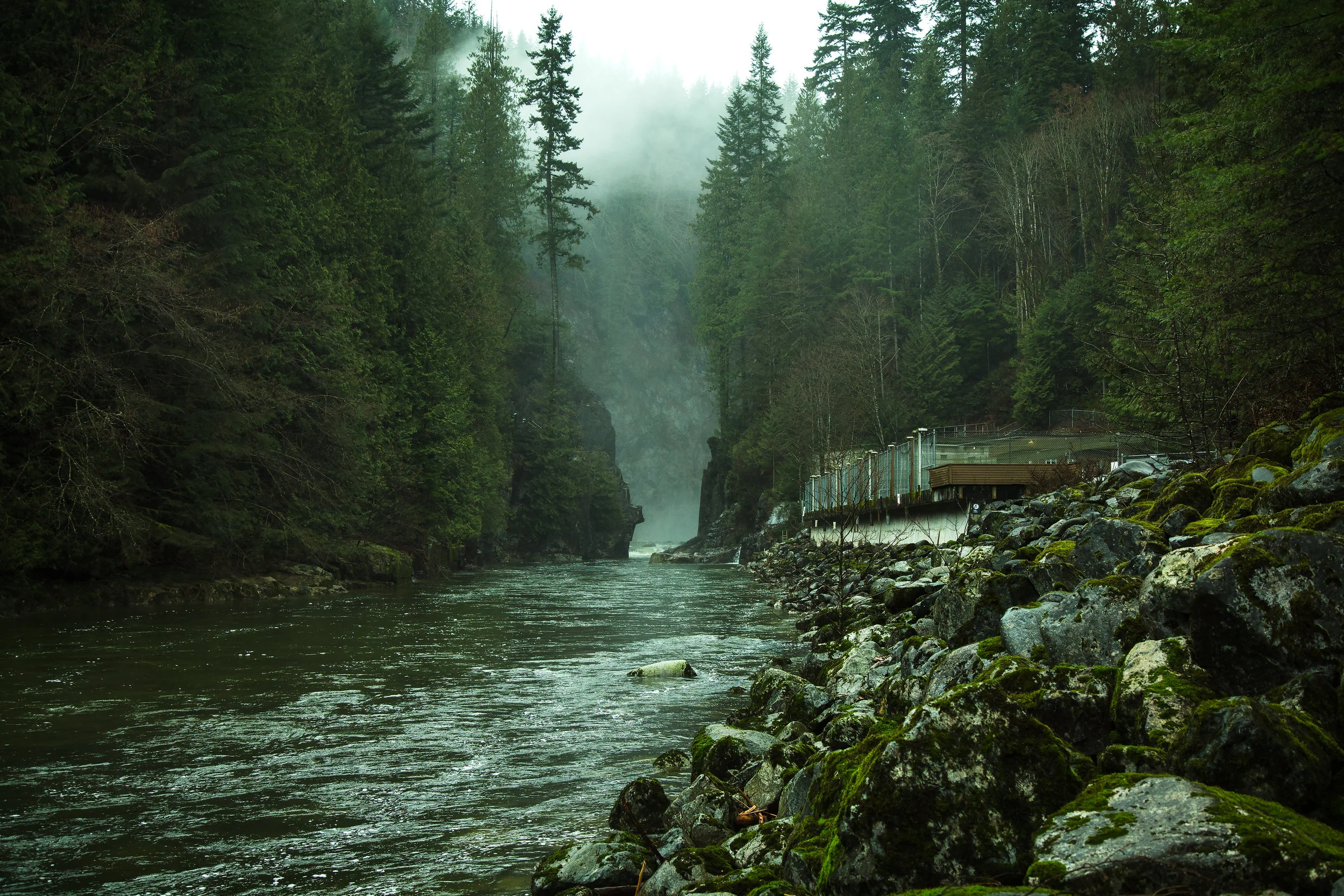 Capilano River Canyon near Vancouver, BC. It wasn't a sunny day, but the clouds and the mist added to the rustic green atmosphere.