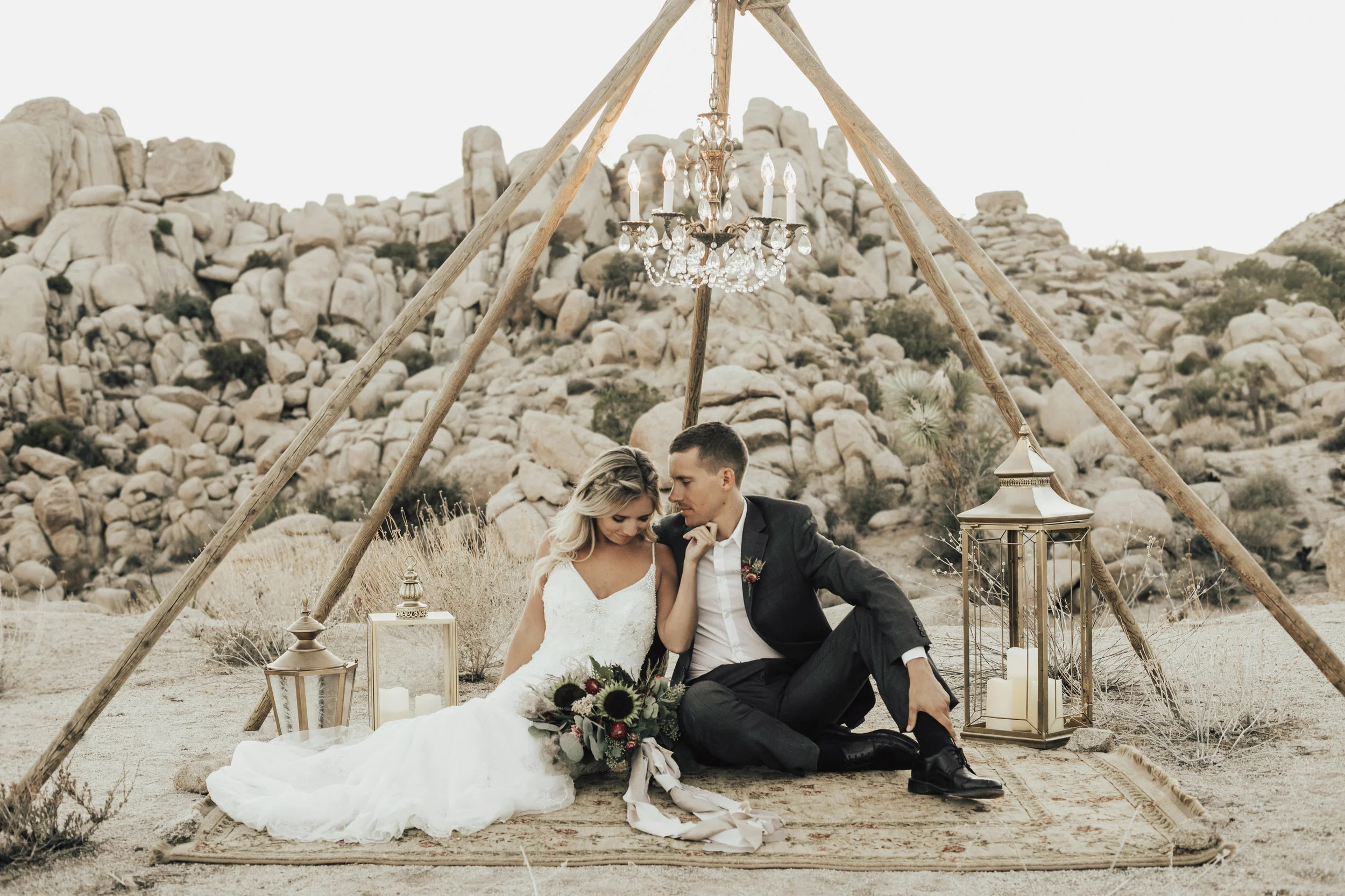 joshua tree pic .jpg