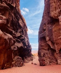 Wadi Rum Nature Tours Jeep &Walking Tour