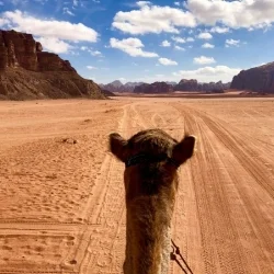 Wadi Rum Nature Tours - Camel Tour