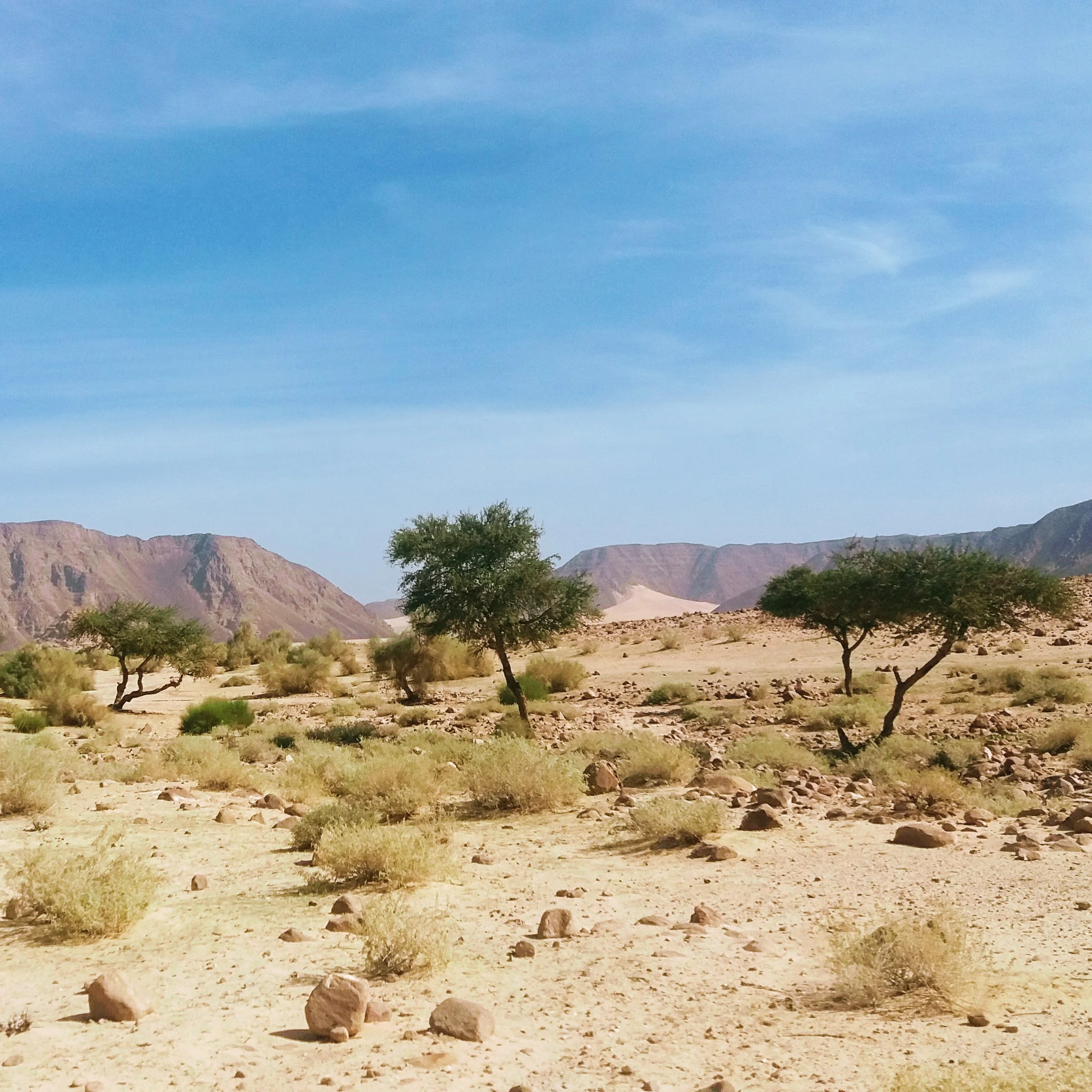 wadi-rum-multi-day-tours-isolation.jpg