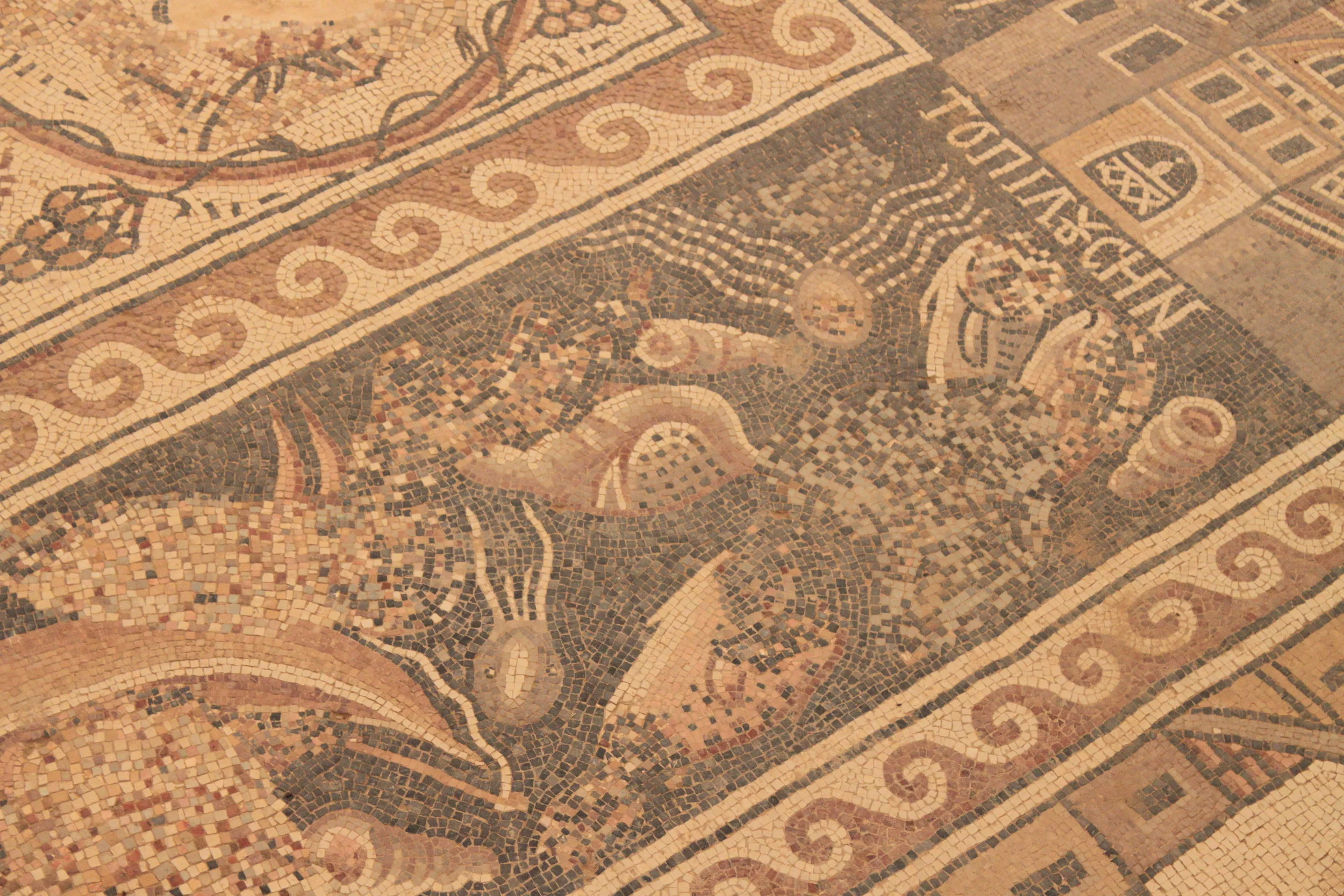 Mosaic at Um er-Rasas. Photograph by Professor Bjorn Anderson.
