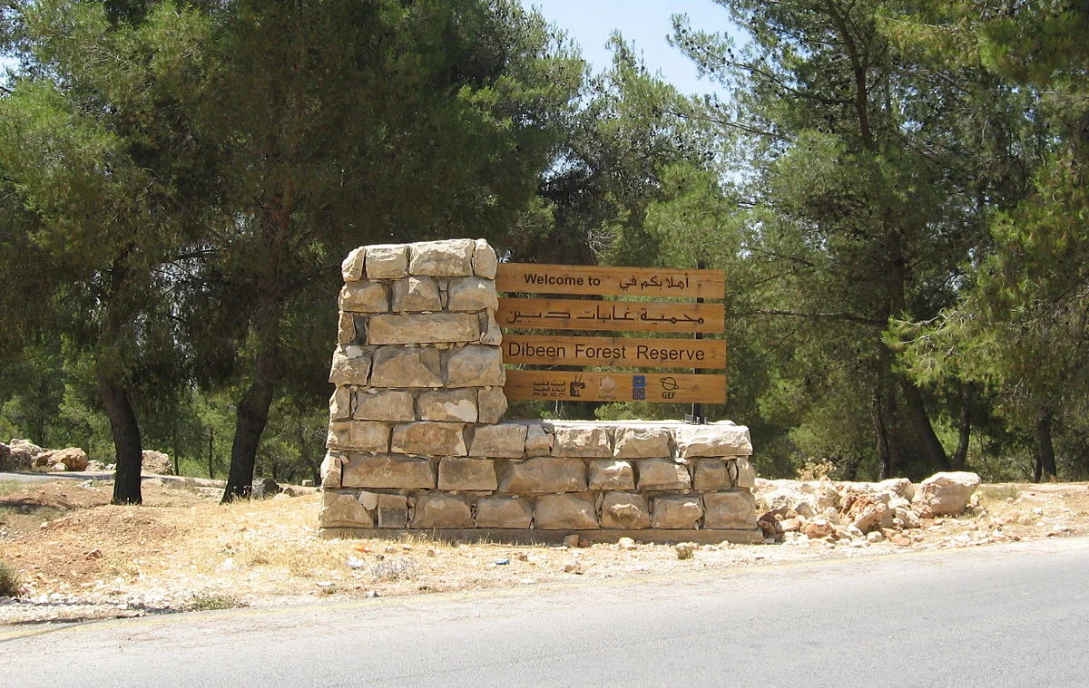 Dibeen Forest Reserve. Photo taken Ldud, distributed under CC BY-SA 3.0 license.