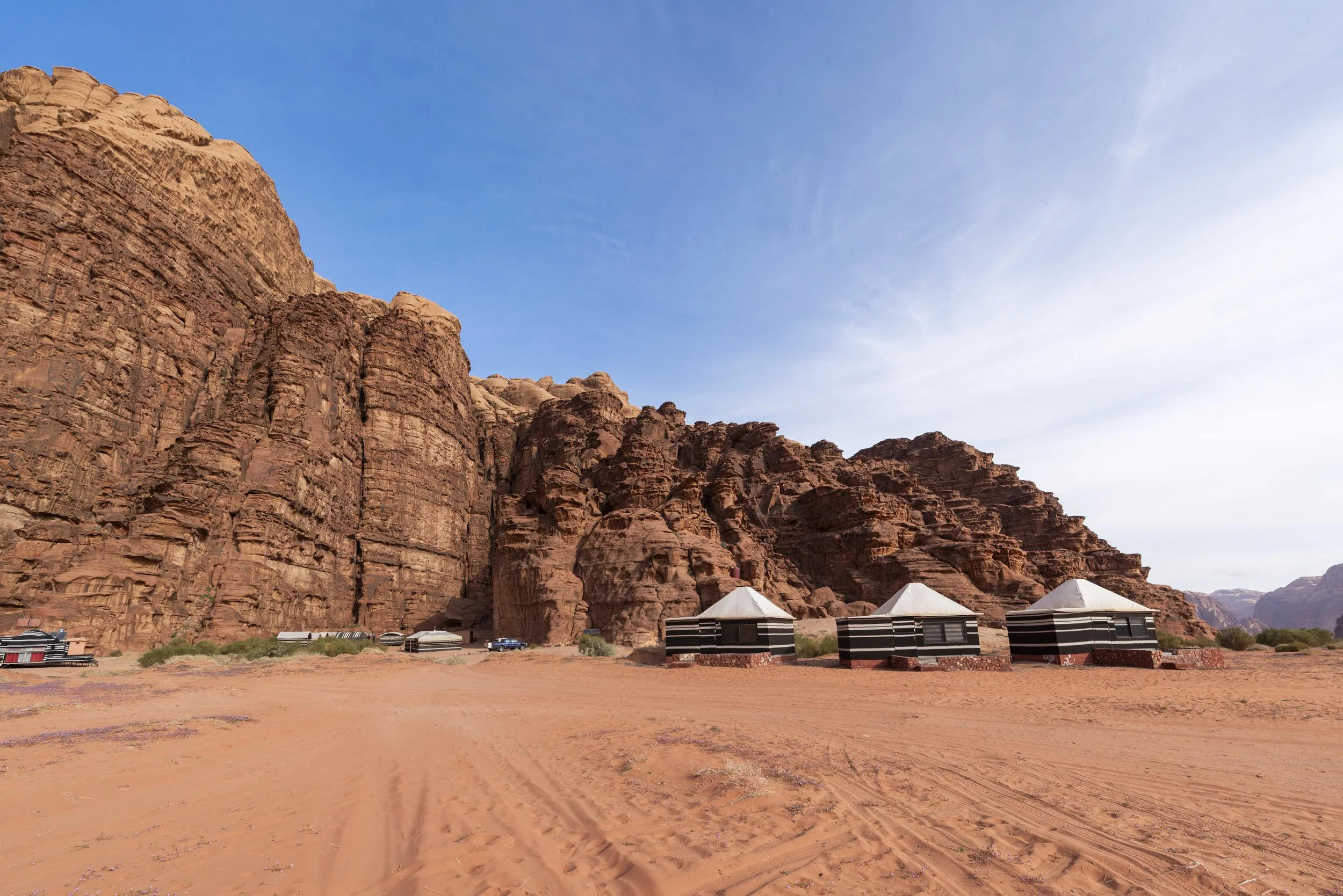 Wadi Rum Nature Tours 23.JPG