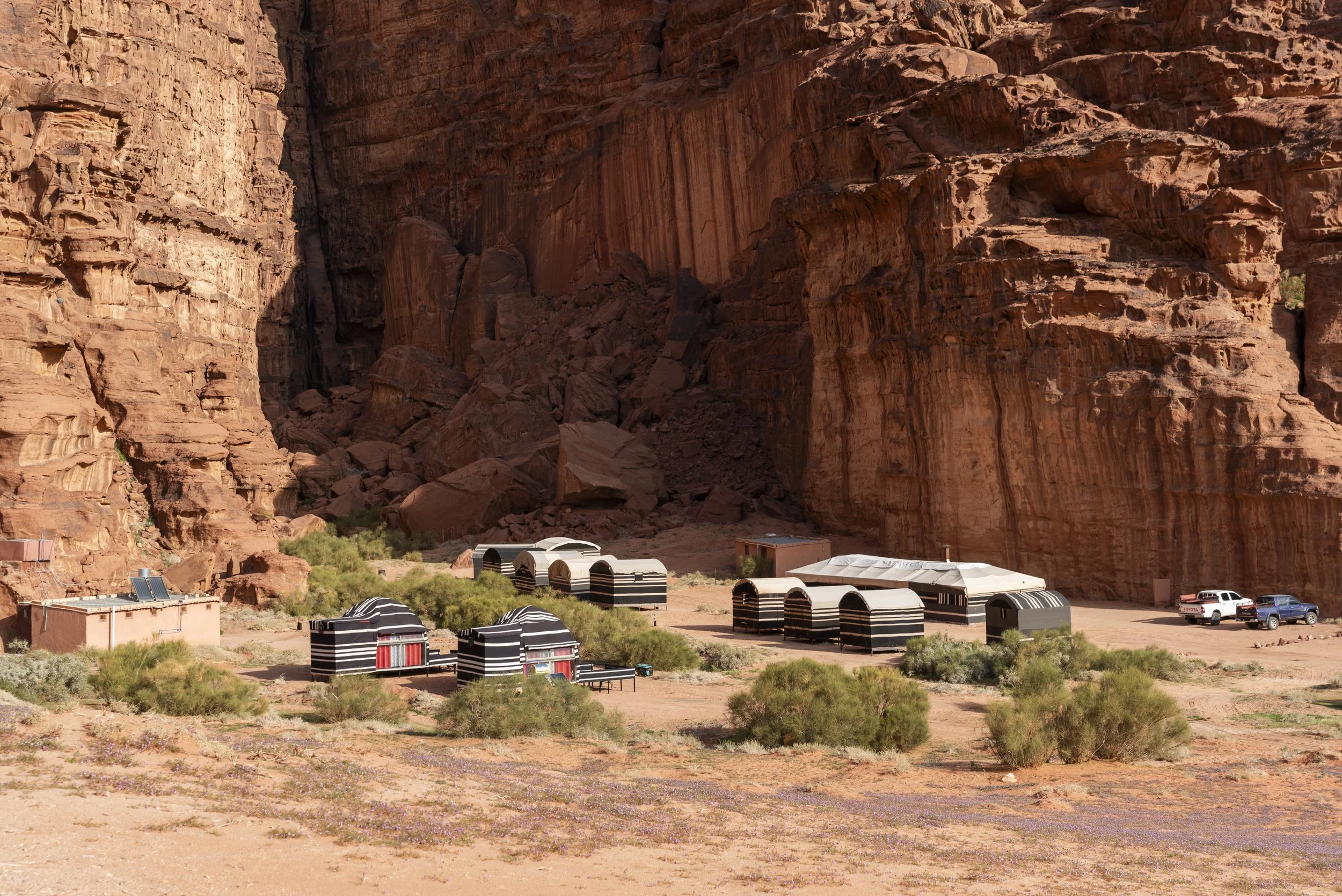 Wadi Rum Nature Tours 27.JPG