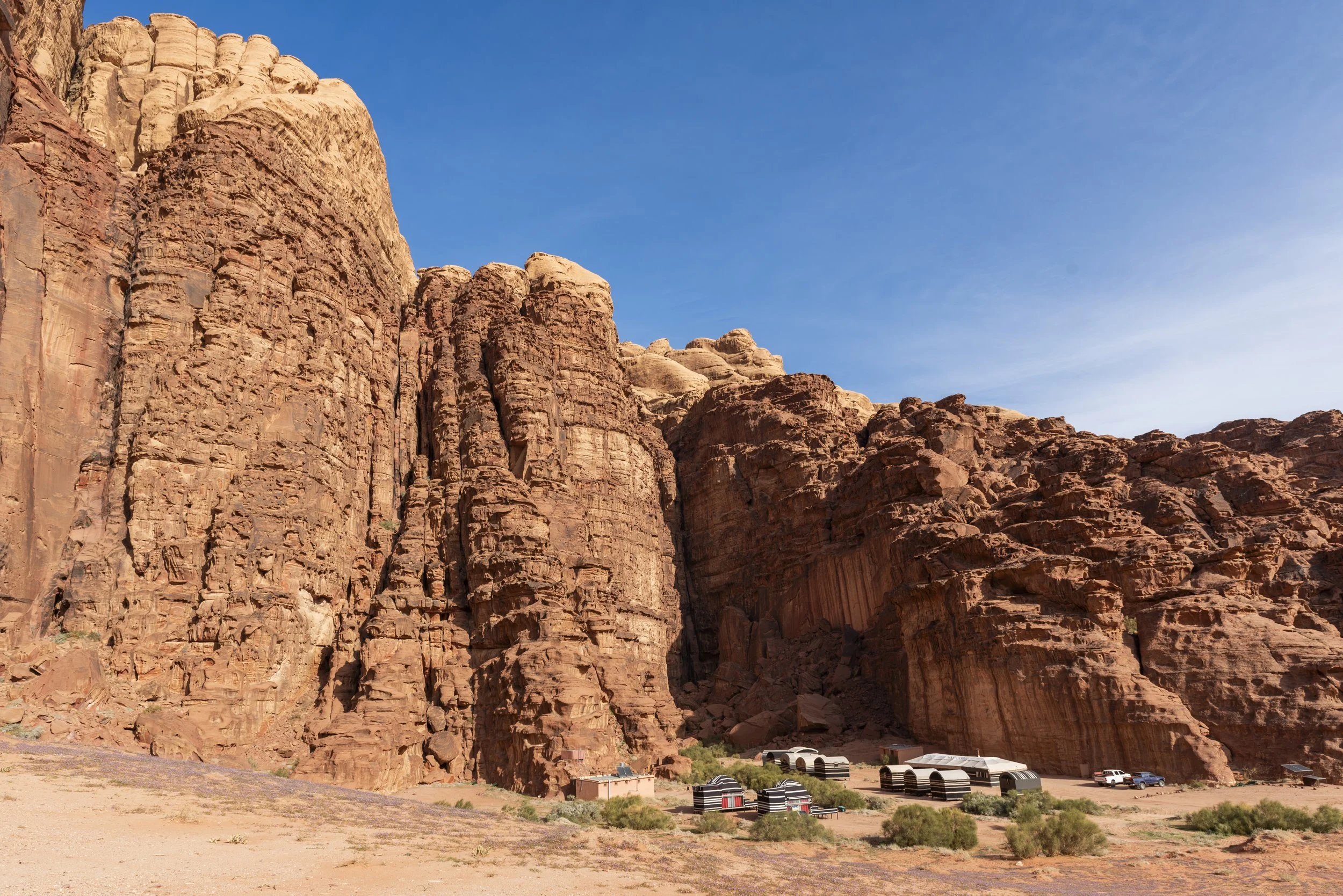Wadi Rum Nature Tours 29.JPG