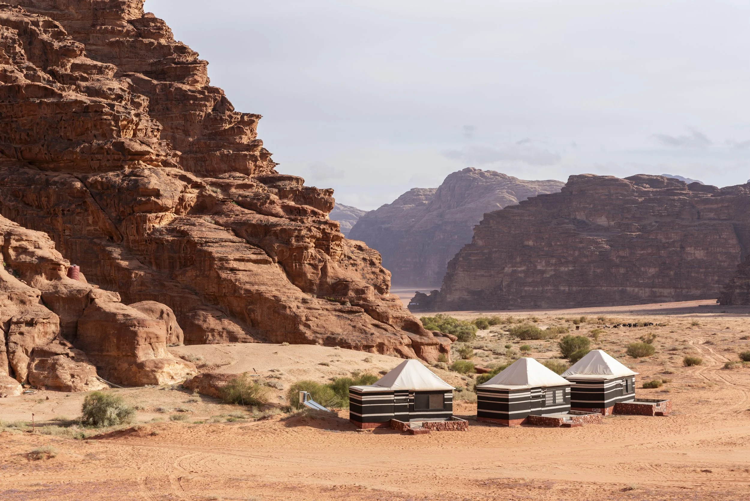 wadi rum nature tours tents