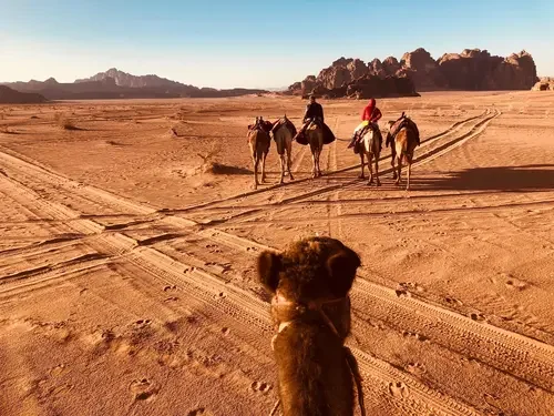Wadi Rum Jordan Camel Ride