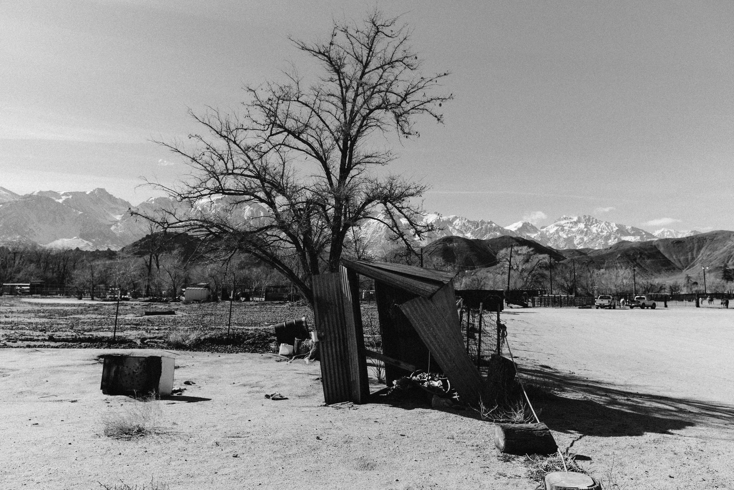 20160203-20160203-L1007608.jpg