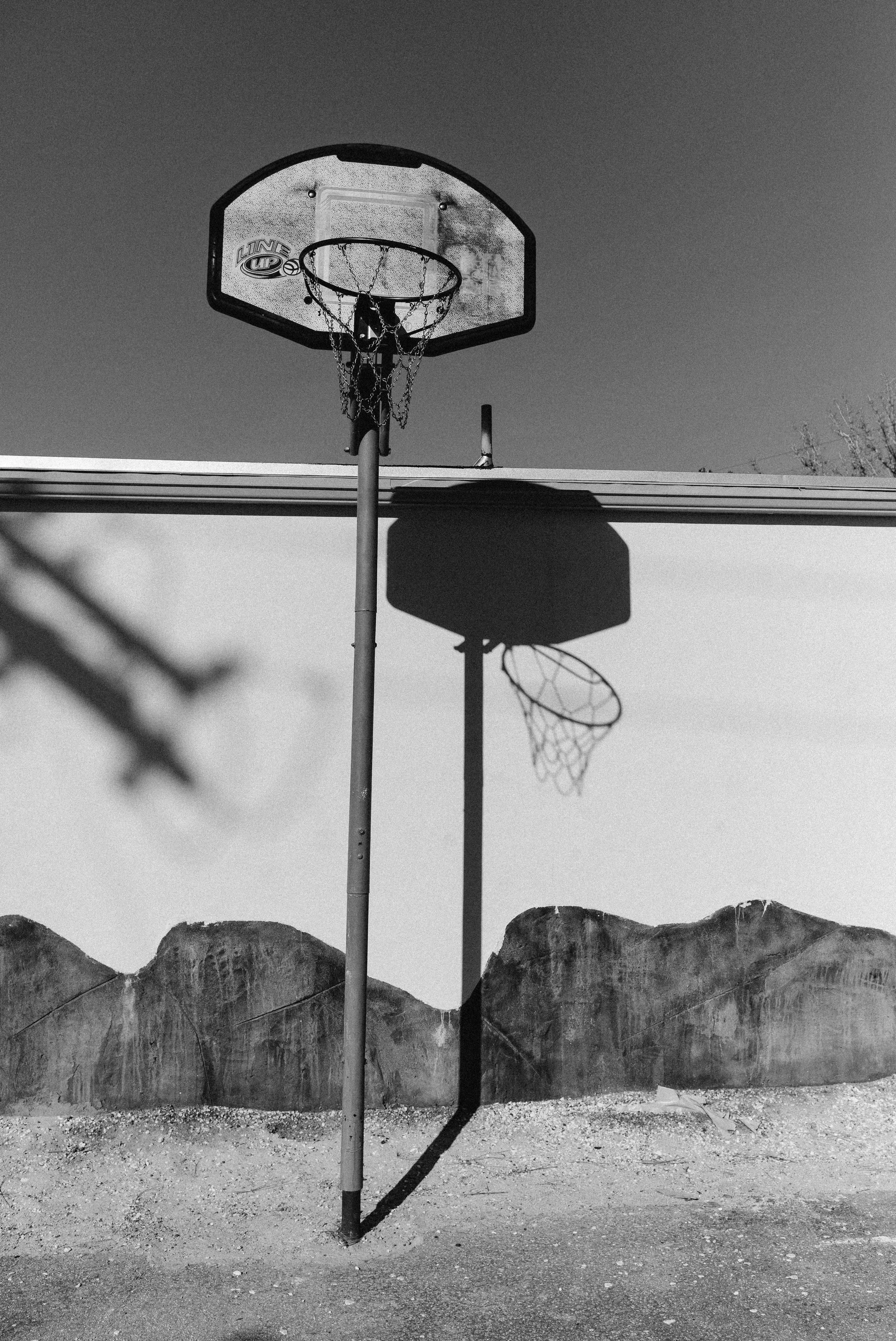 20160203-20160203-L1007602.jpg