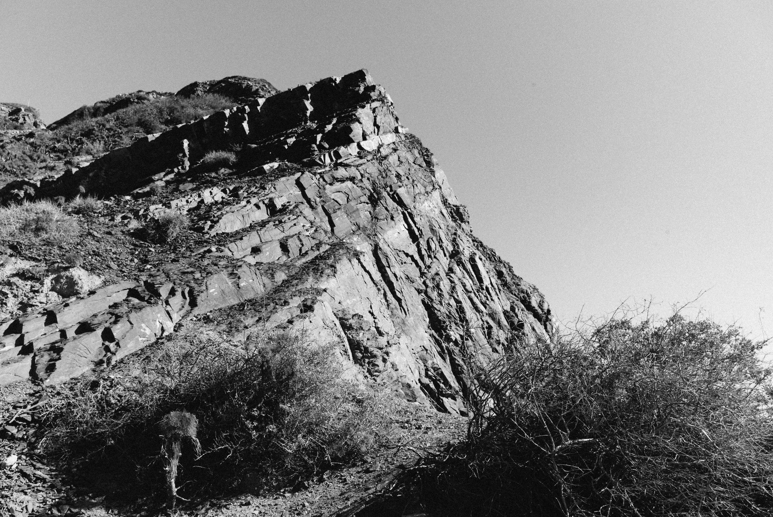20160215-L1008838.jpg