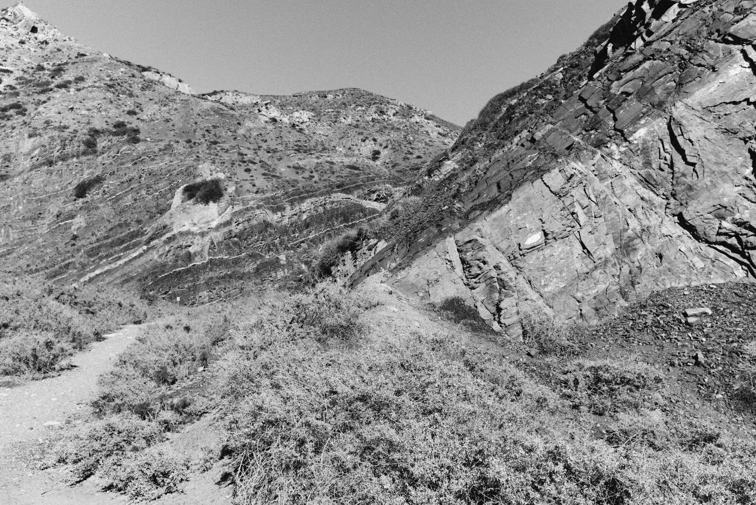 20160215-L1008835.jpg