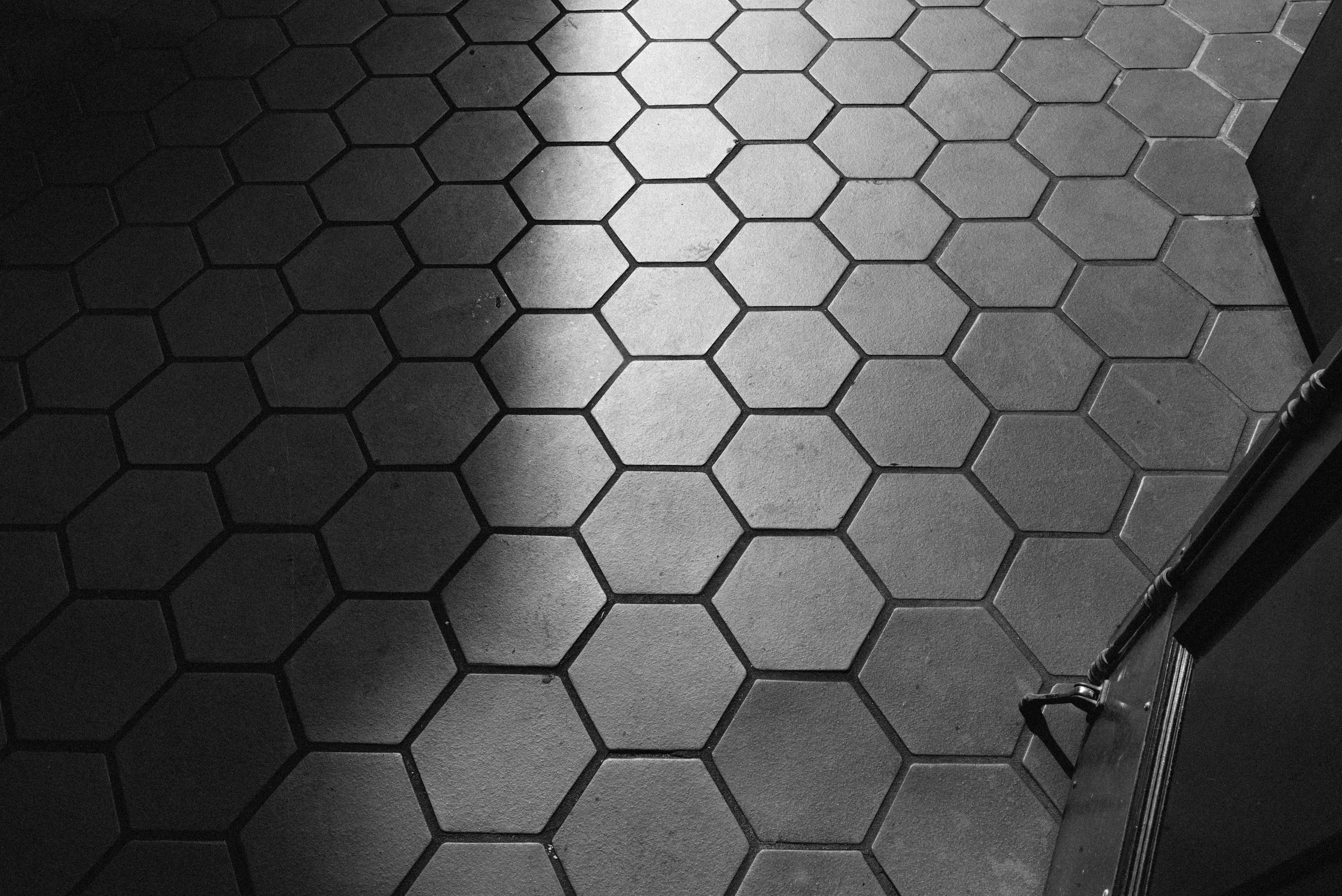 20160214-L1008774.jpg