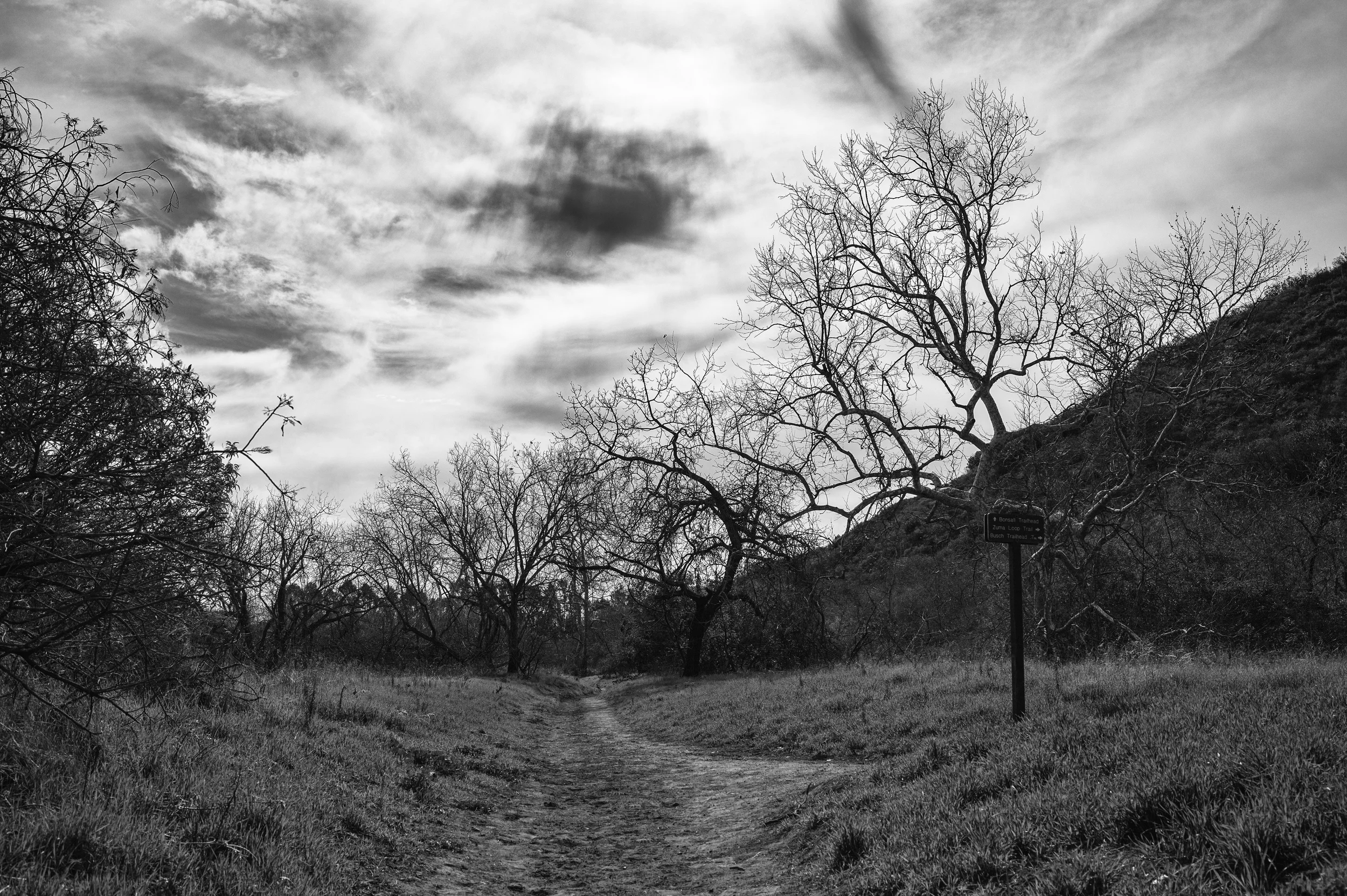 19700101-L6055188-Edit.jpg