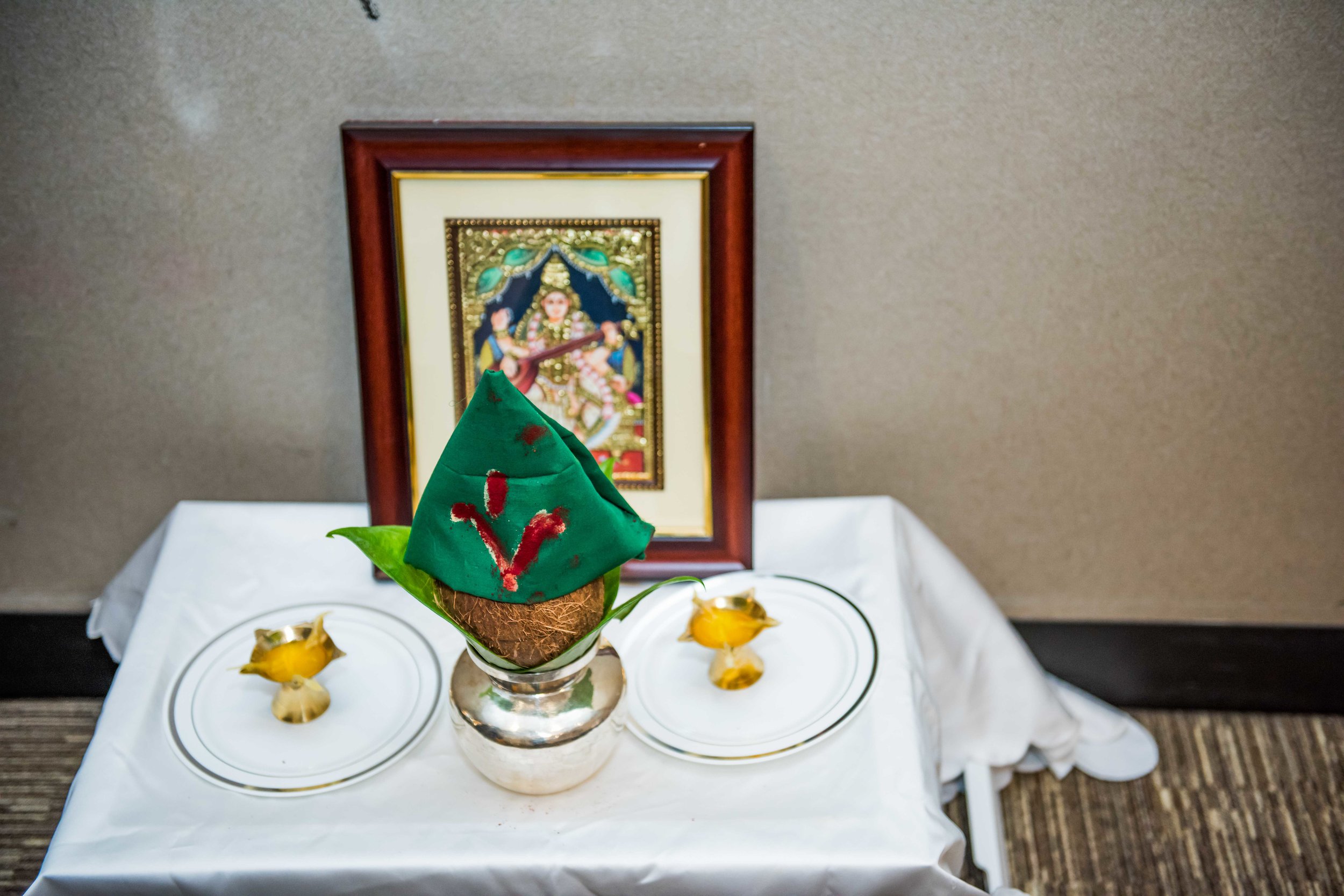 AlexandriaWedding-Blake&Sahaja-Ceremony-170.jpg