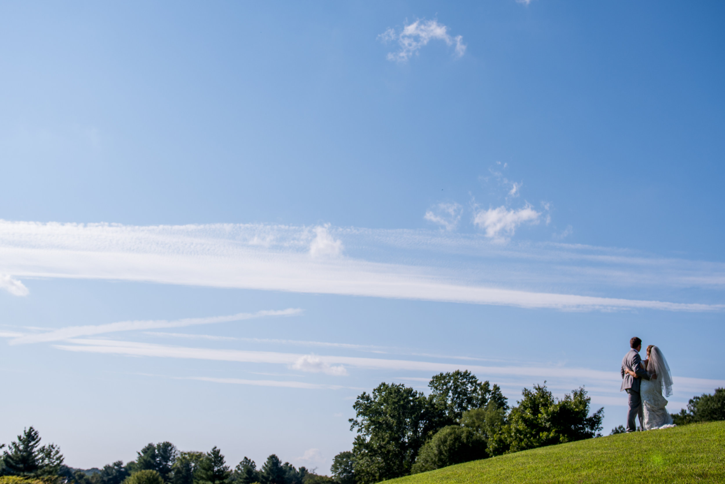 MeadowlarkGardensWedding-Ashley&Kevin-59.jpg