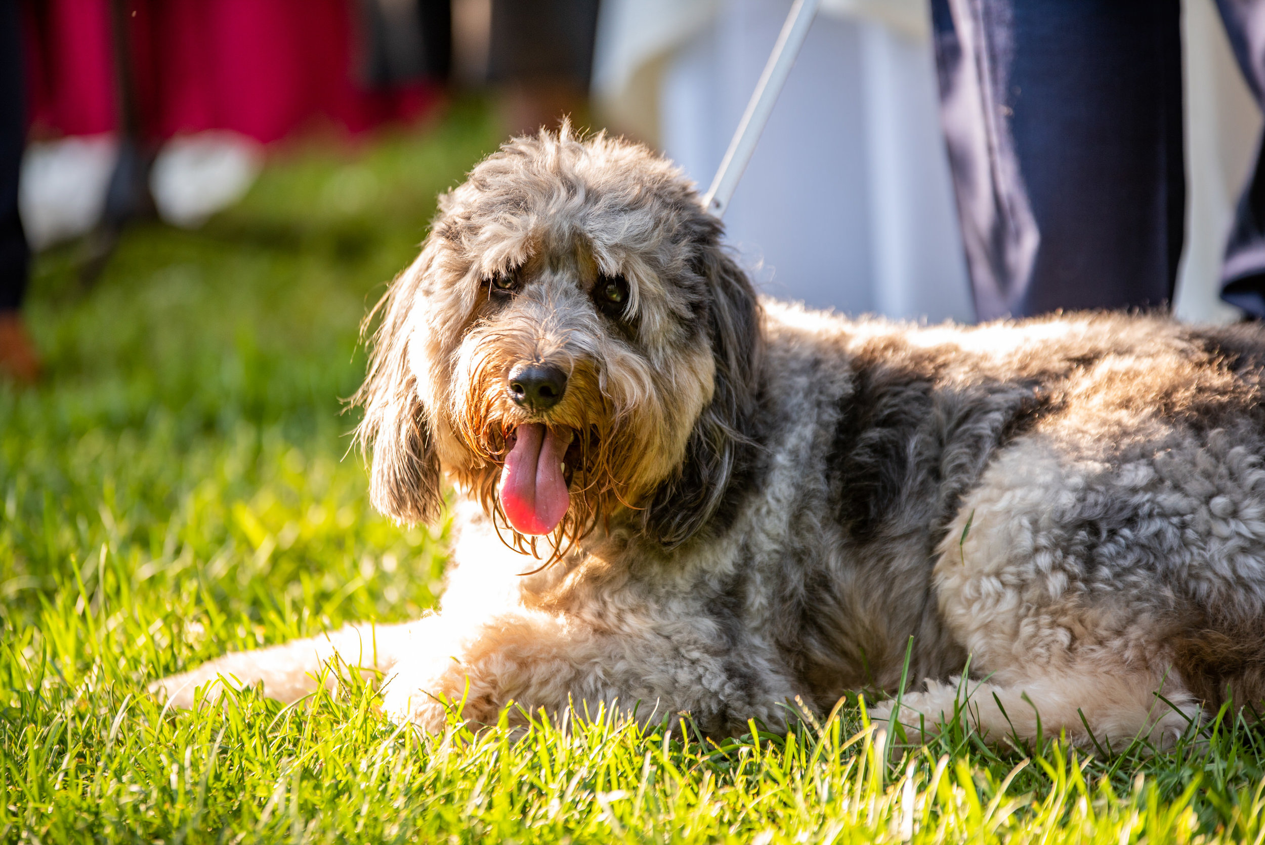 FeastCatering-Sara&Justin-Ceremony-23.jpg