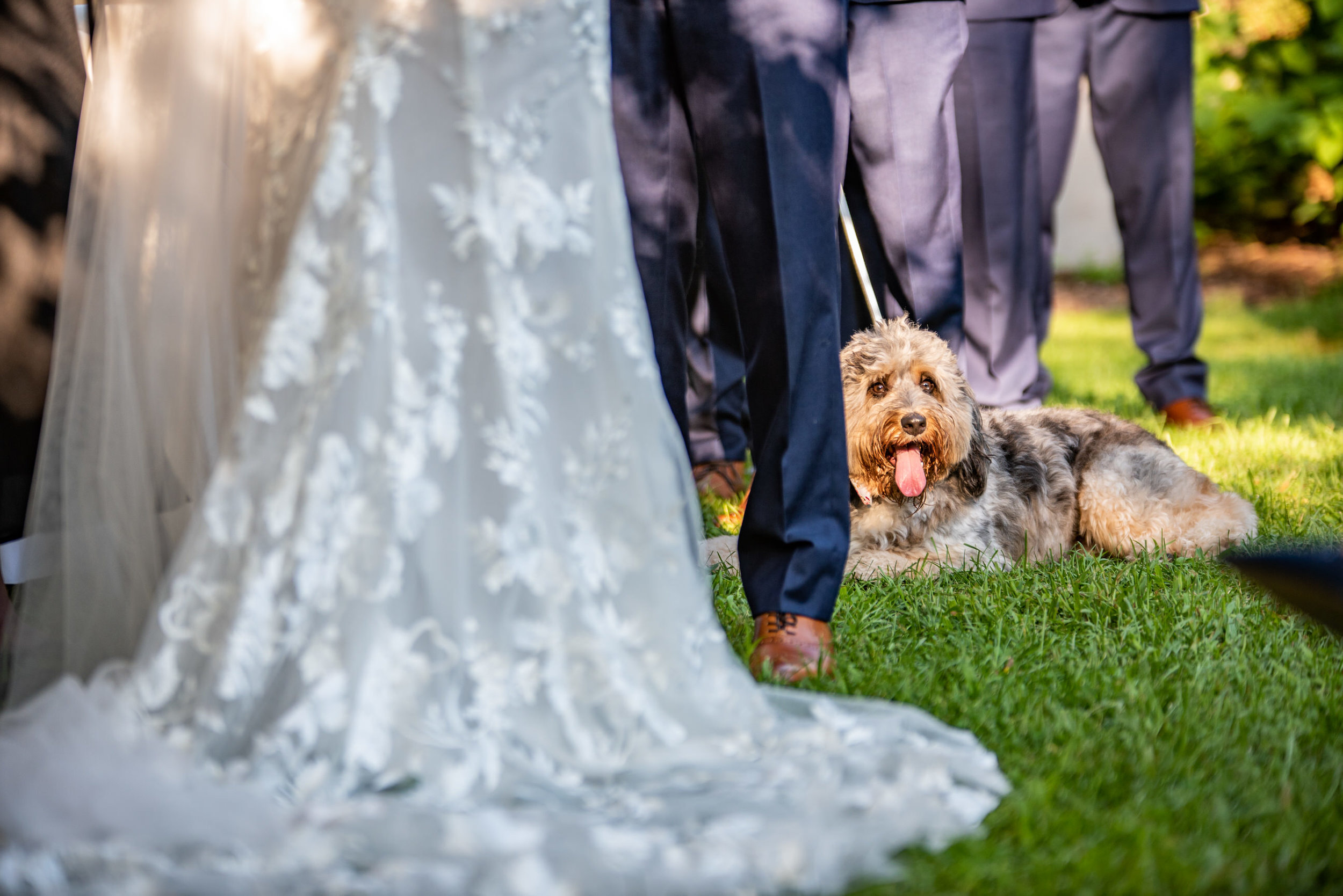 FeastCatering-Sara&Justin-Ceremony-25.jpg