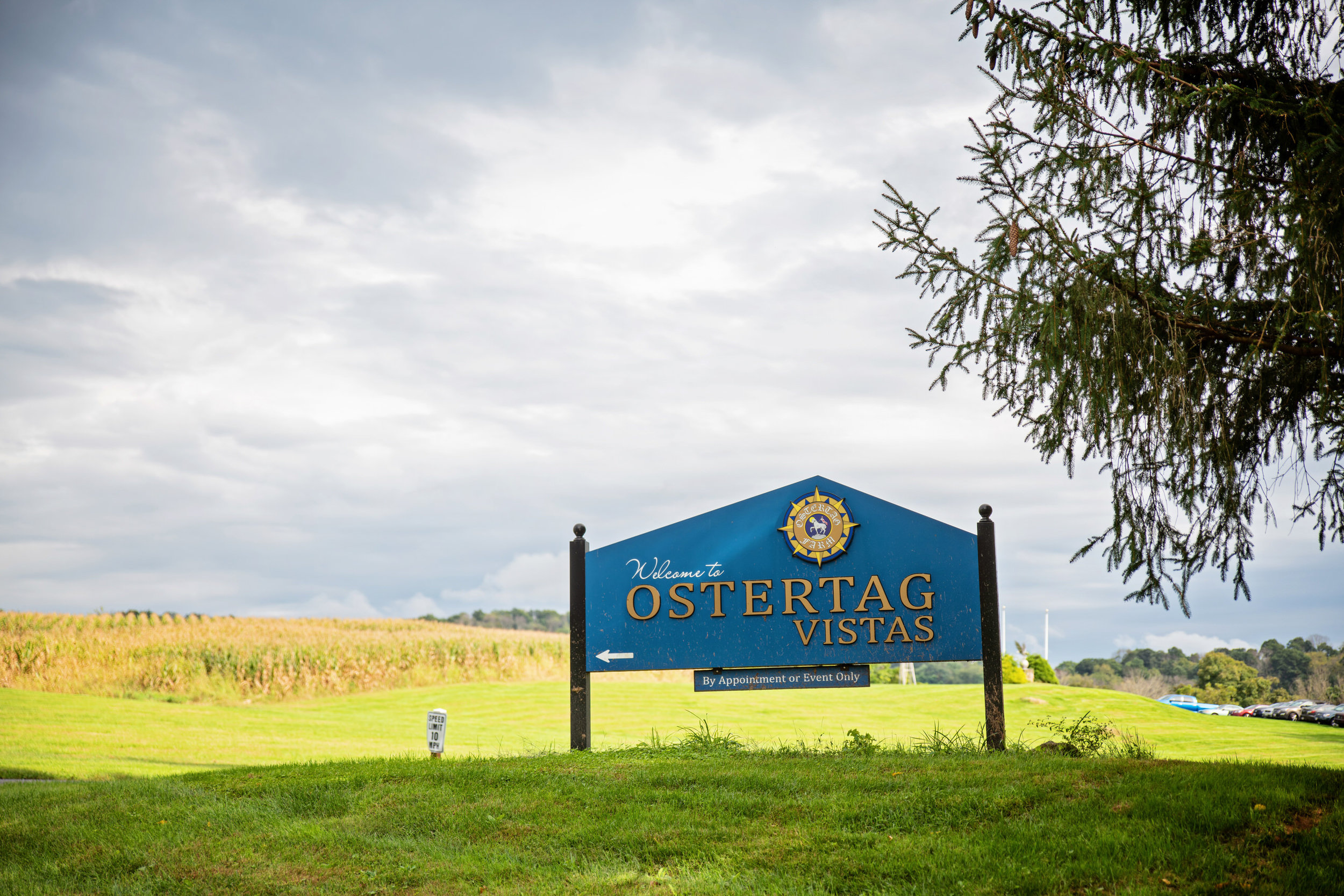 OstertaagVista-Caitlin&Brandon-GettingReady-31.jpg