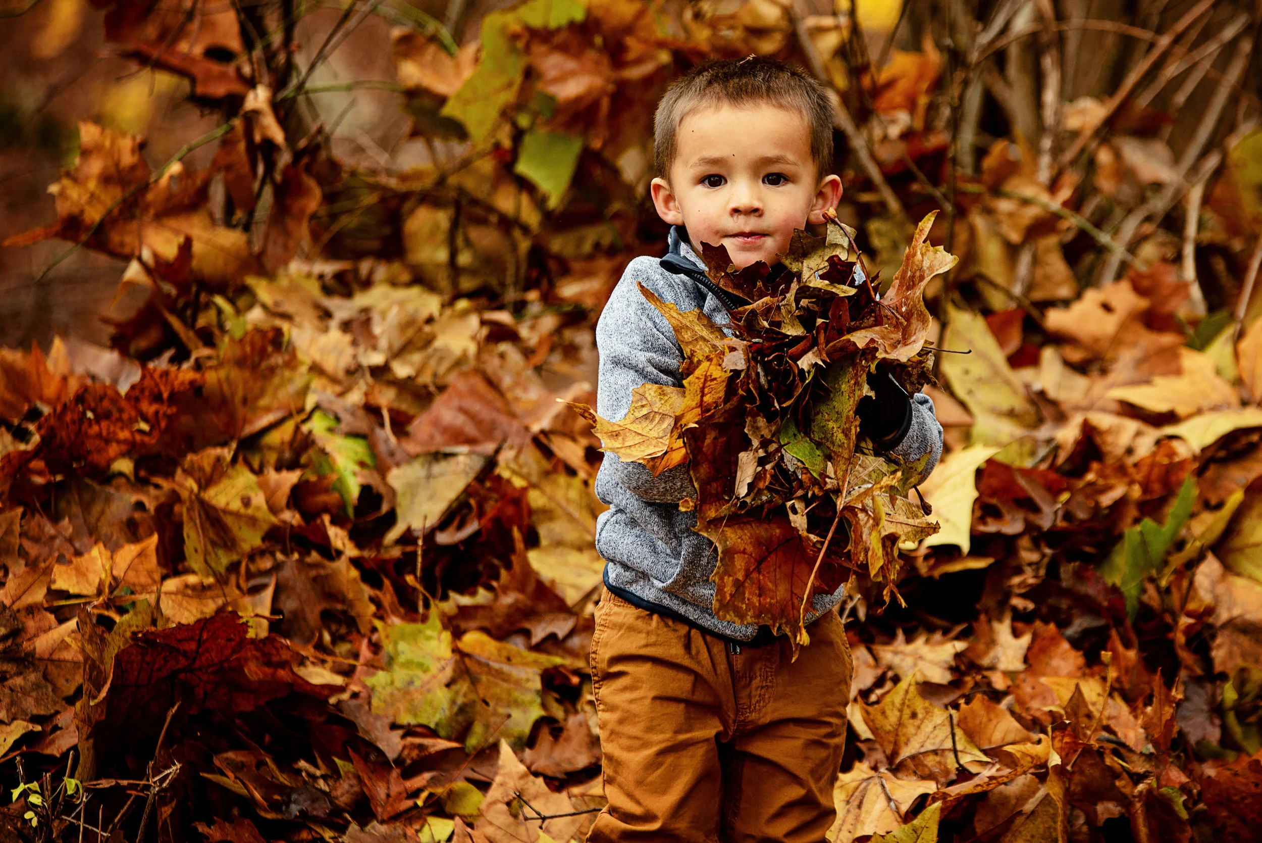 MarylandFamilyPhotography-Soliva2018-19.jpg