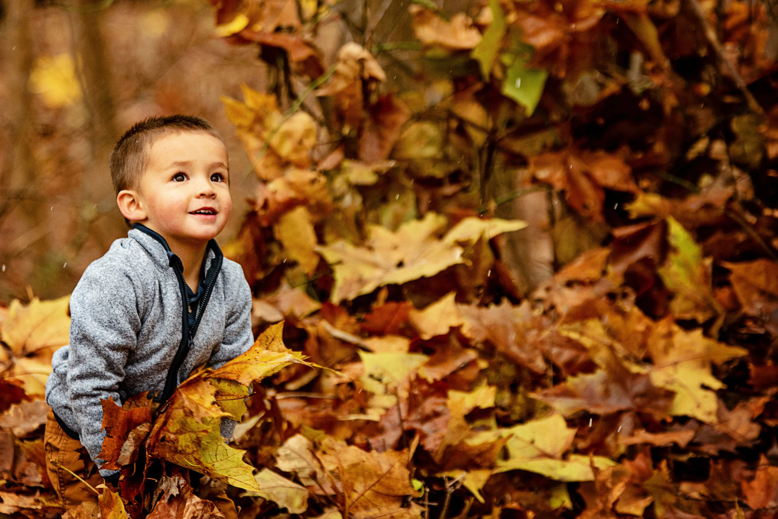 MarylandFamilyPhotography-Soliva2018-20.jpg