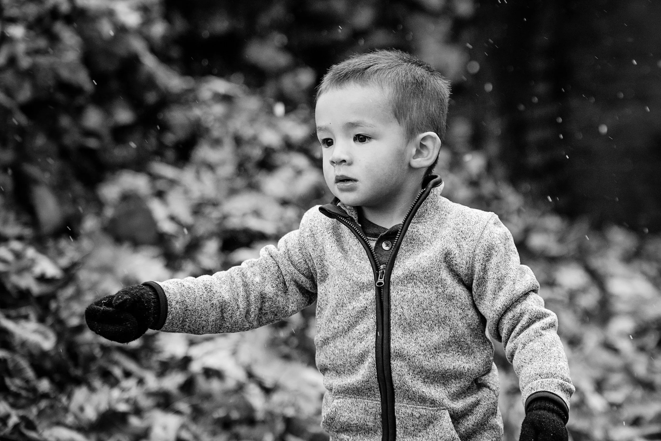 MarylandFamilyPhotography-Soliva2018-25.jpg