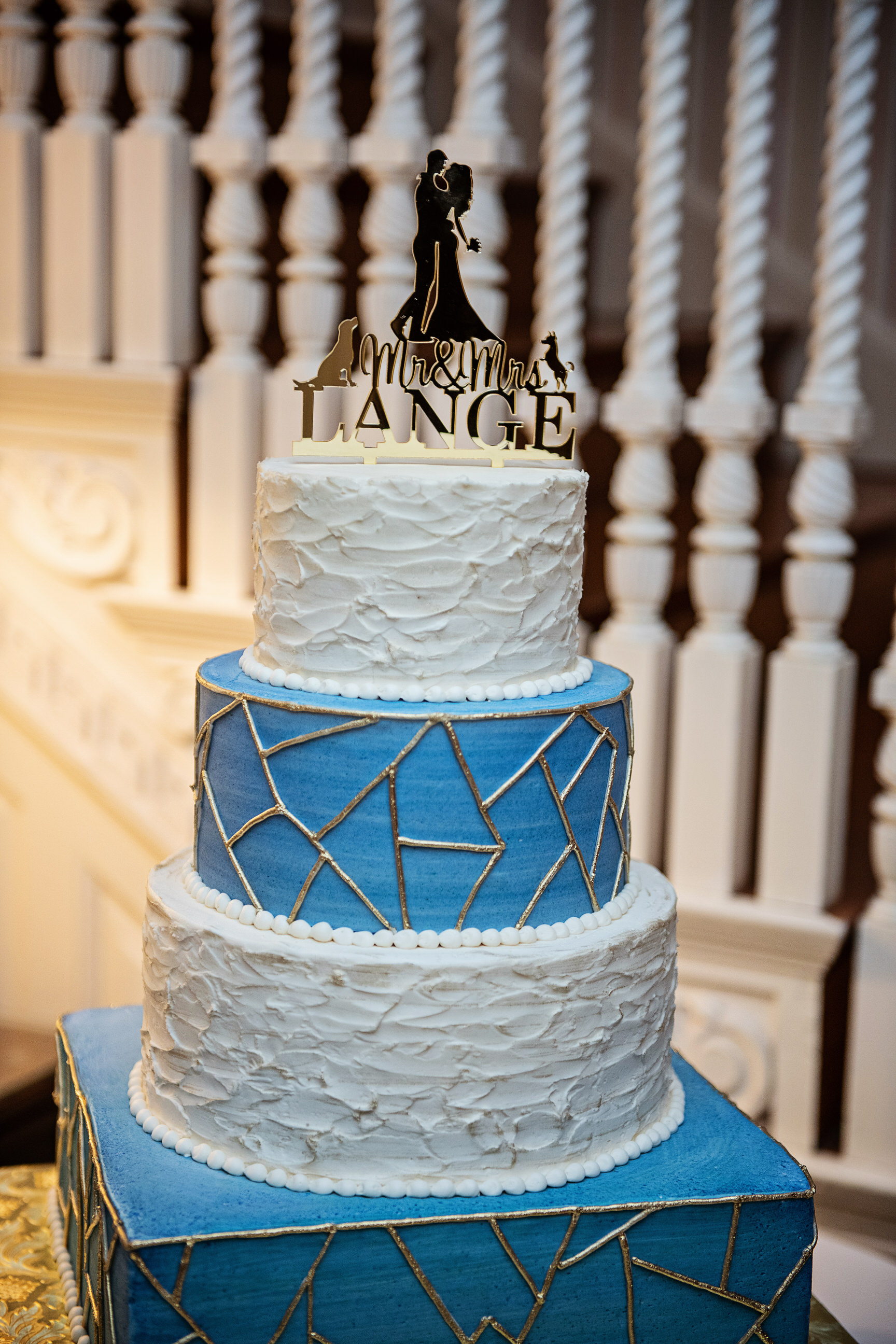 LiriodendronMansionWedding-Jackie&Levi-Reception-21.jpg