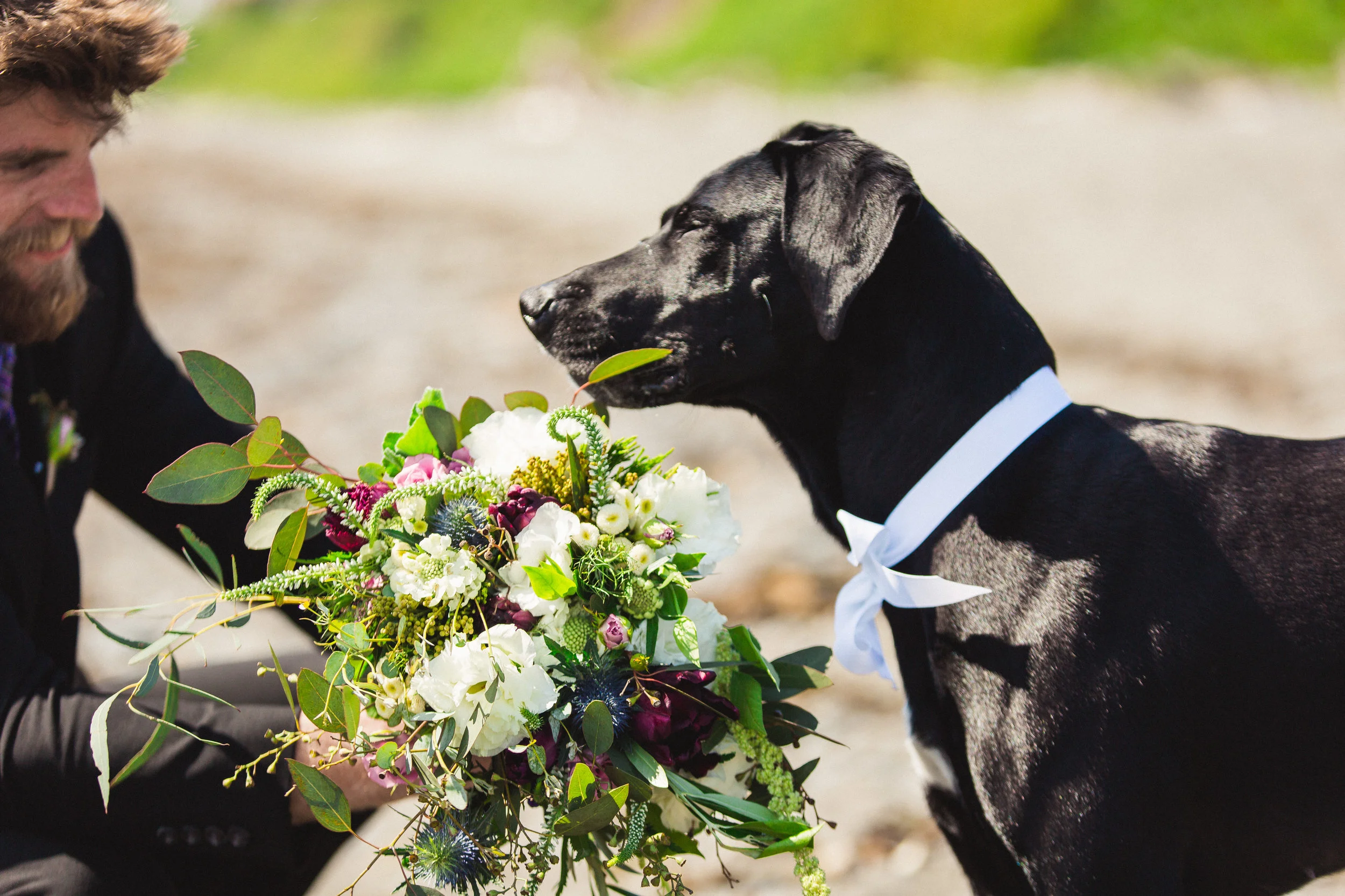 photo credit: personal friend of the bride, Amanda