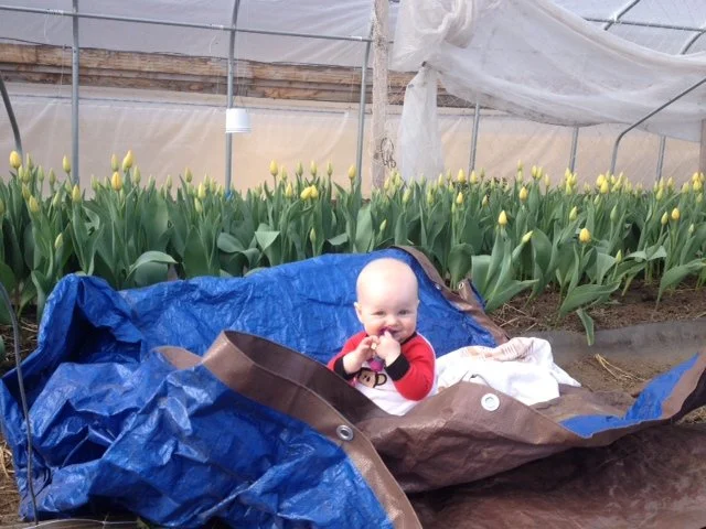 baby in the tulips.JPG