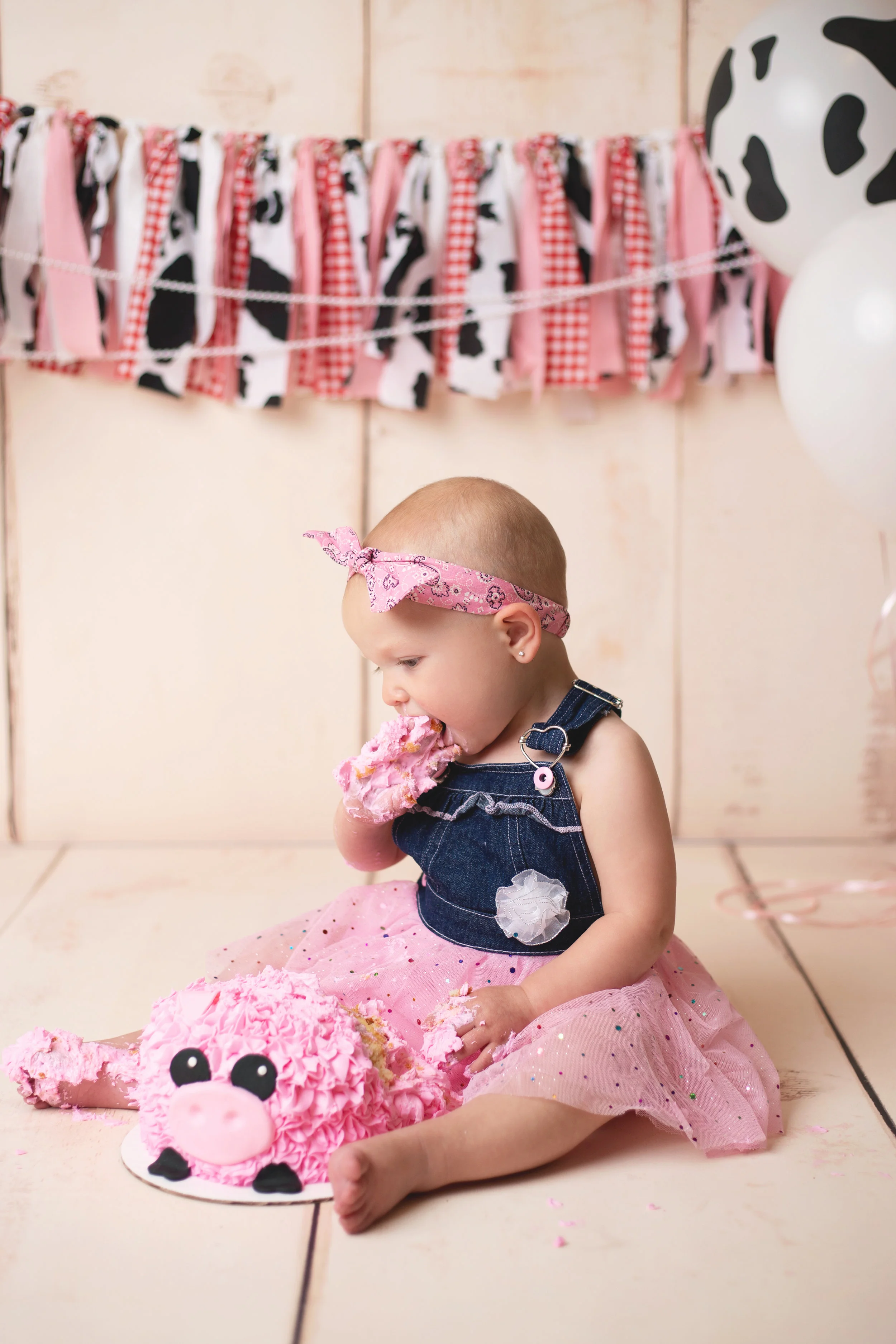 anchorage-cake-smash-photographer-9.jpg