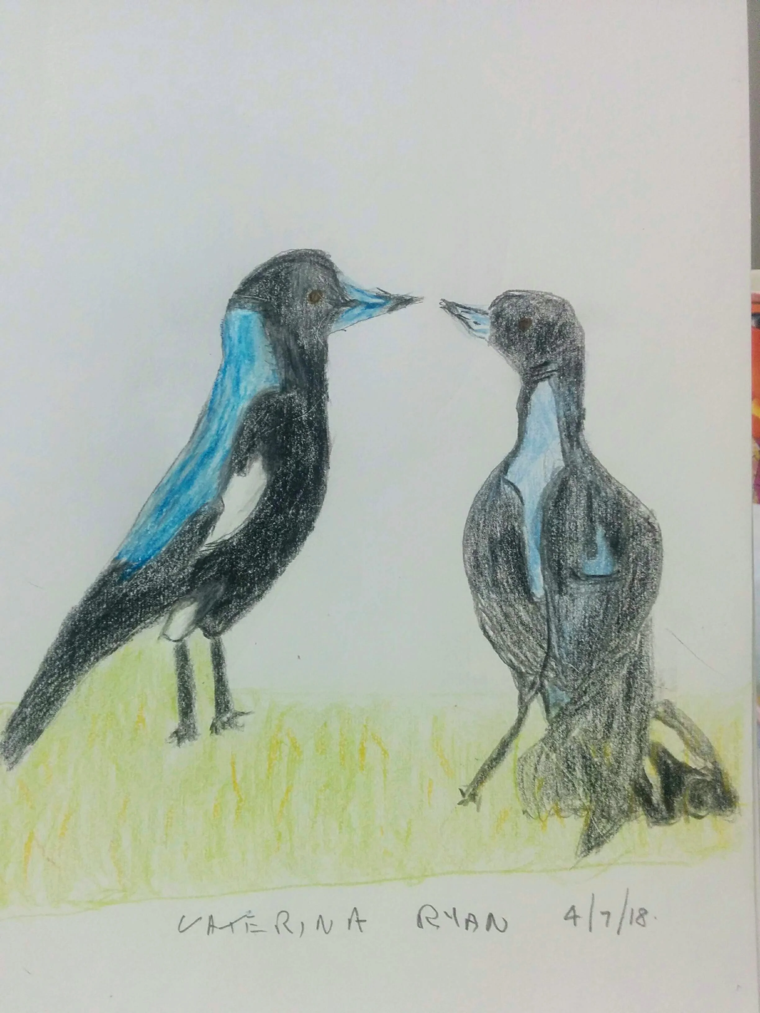Caterina's drawings